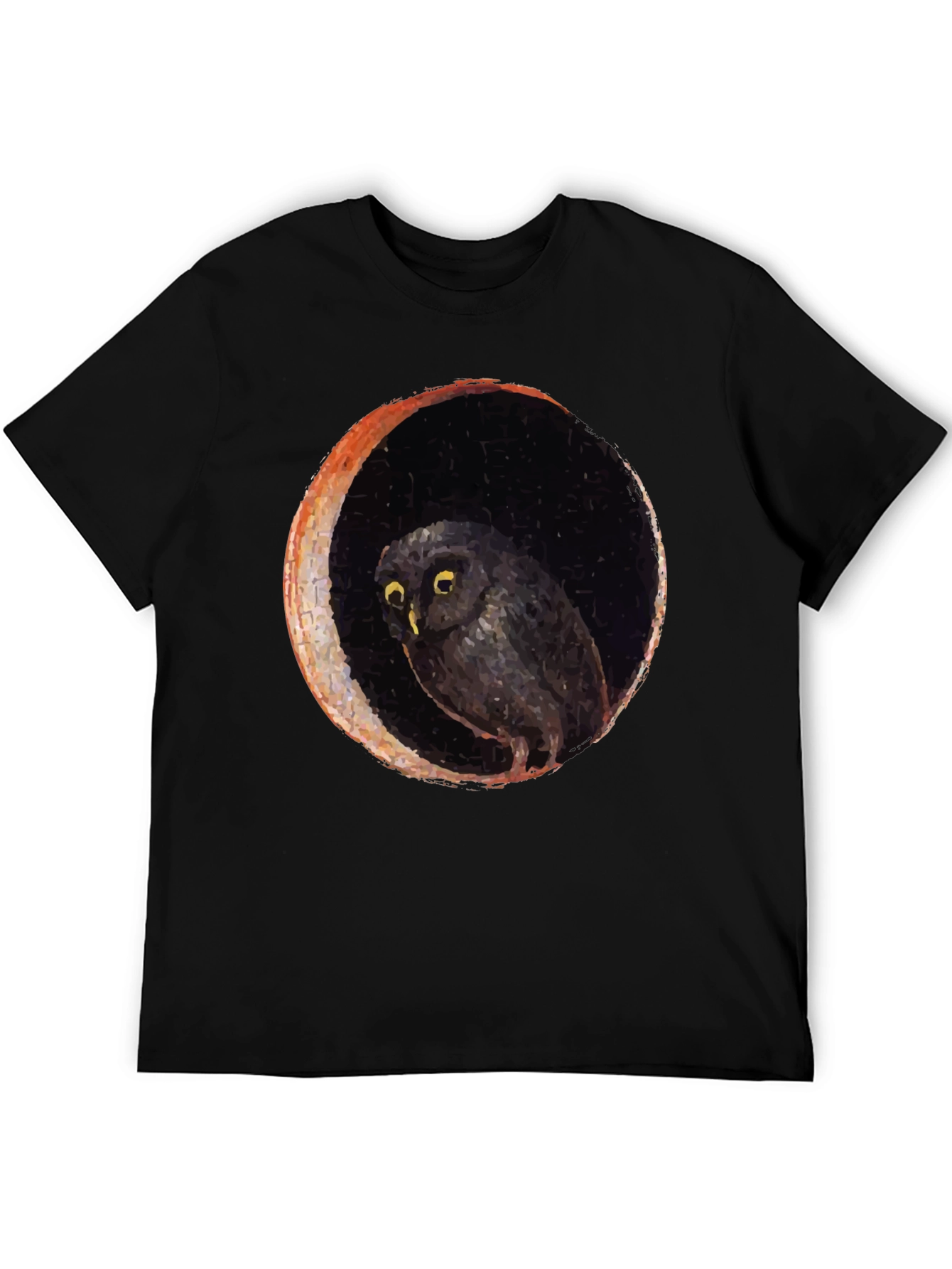 Owl and Moon Graphic Black T-Shirt