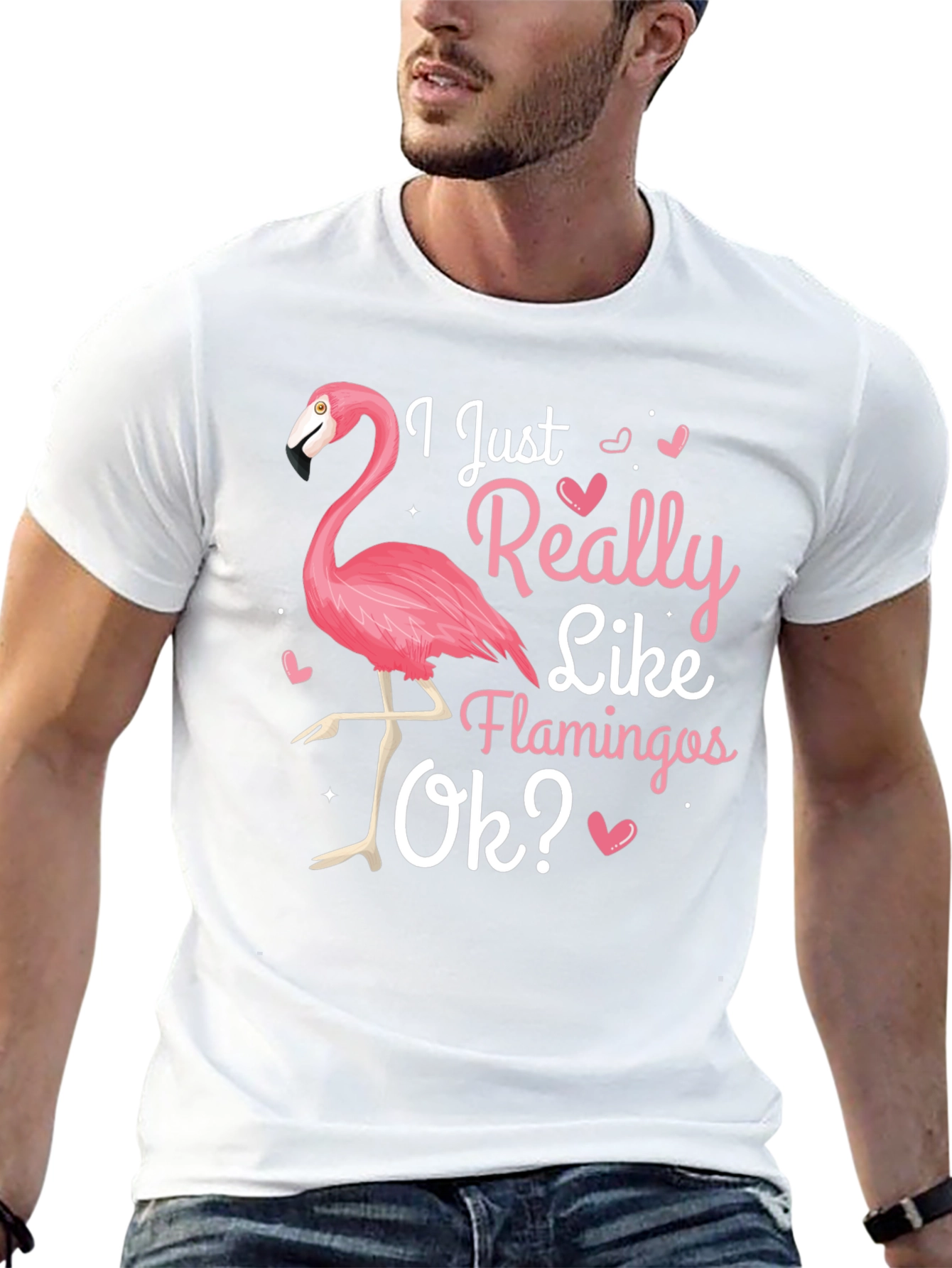 I Just Really Like Flamingos Ok? T-Shirt