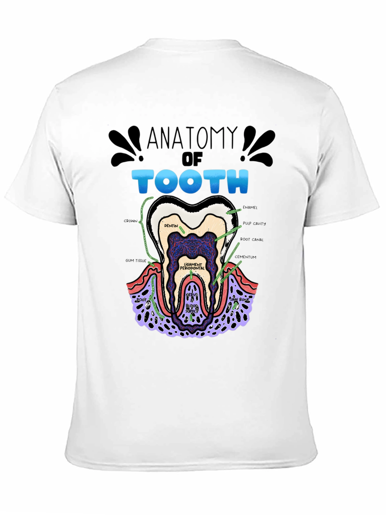 Anatomy of a Tooth Black T-Shirt