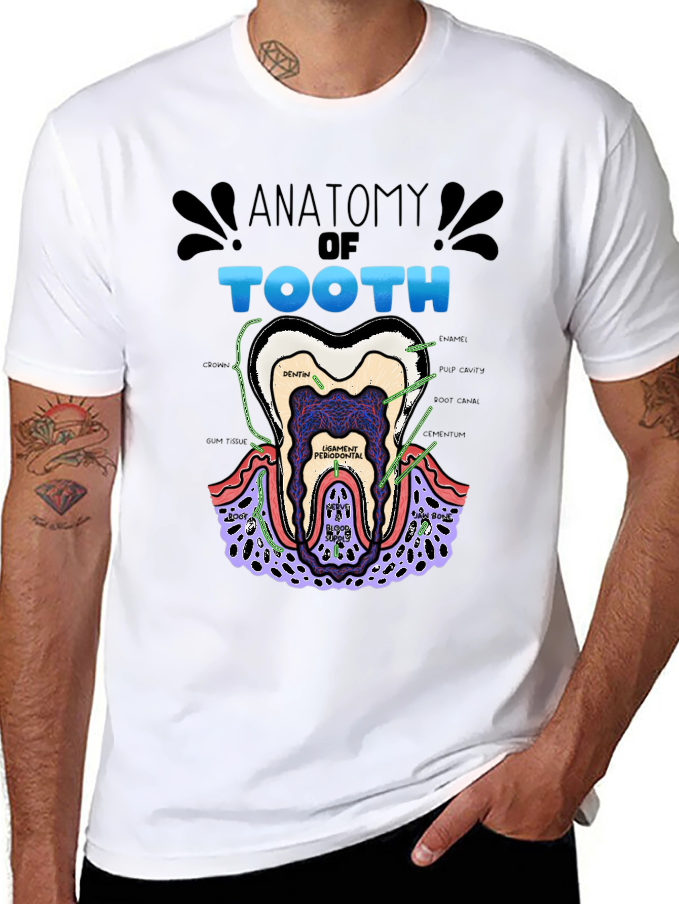 Anatomy of a Tooth Black T-Shirt