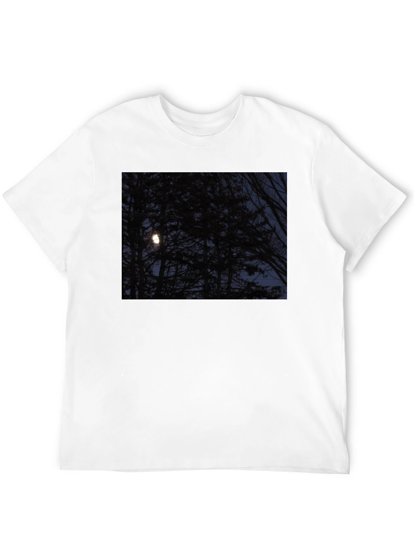 Moonlit Forest Graphic Tee - Dark & Stylish