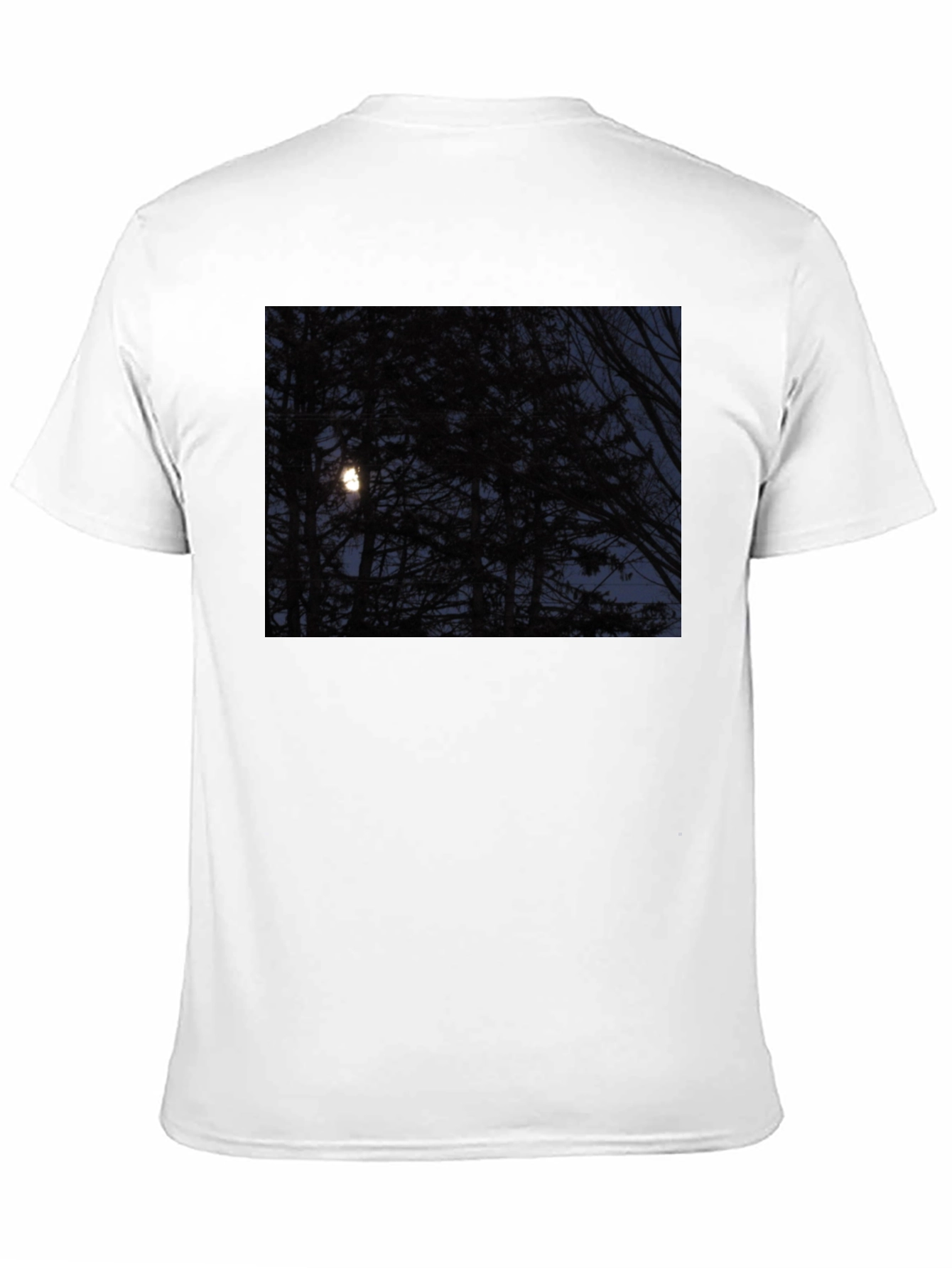 Moonlit Forest Graphic Tee - Dark & Stylish