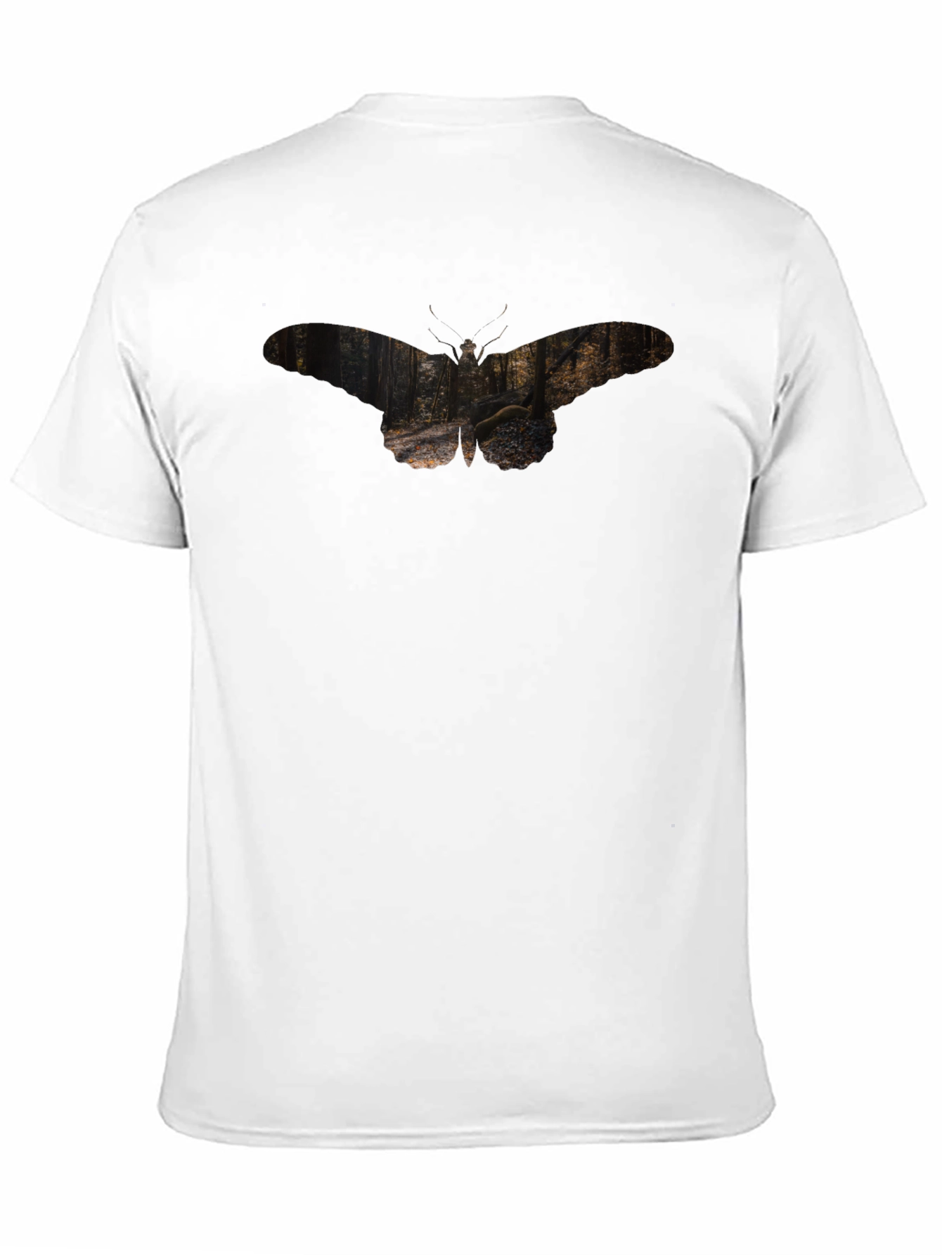 Nature Moth Graphic Tee - Soft Black T-Shirt