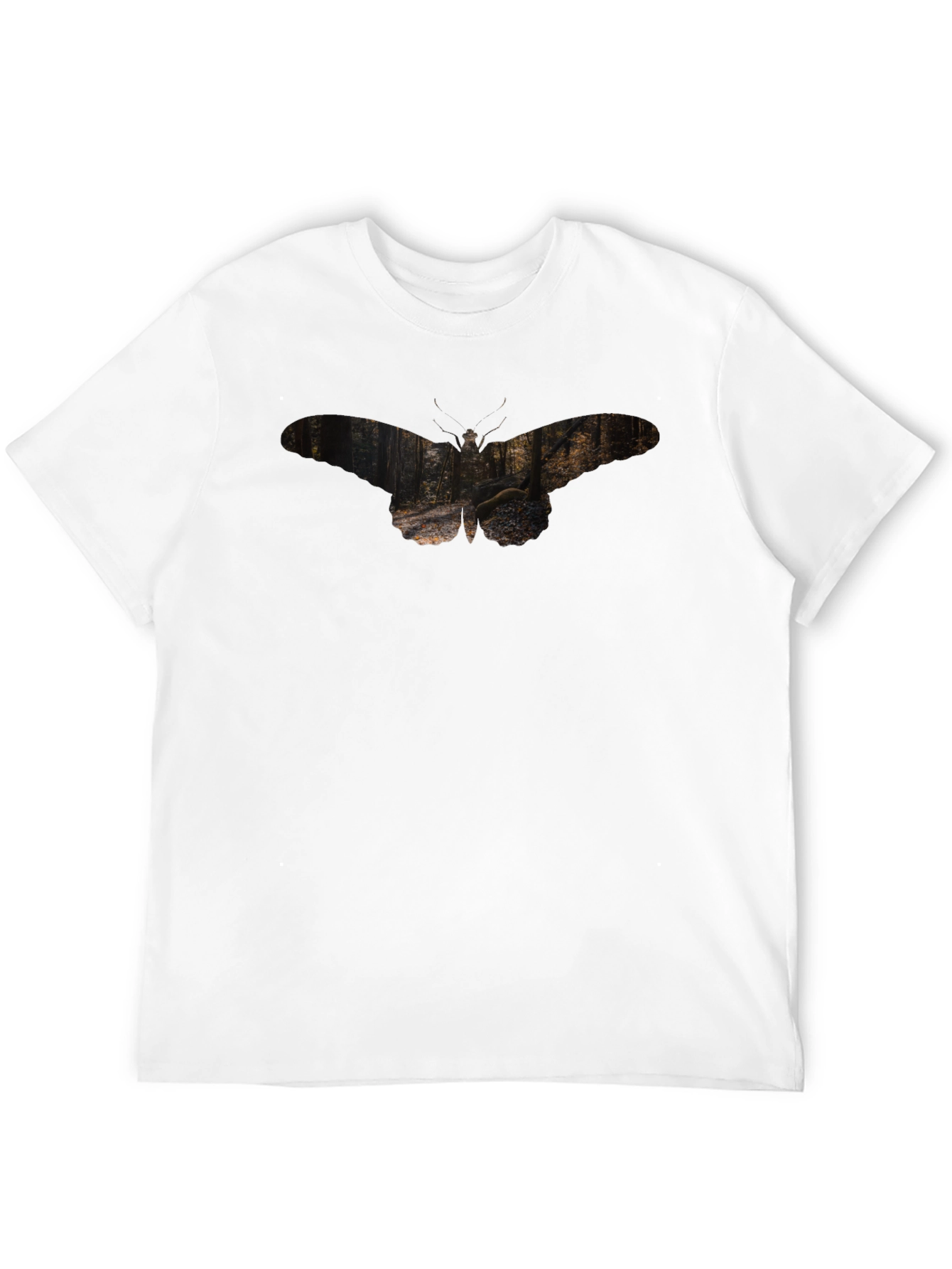 Nature Moth Graphic Tee - Soft Black T-Shirt