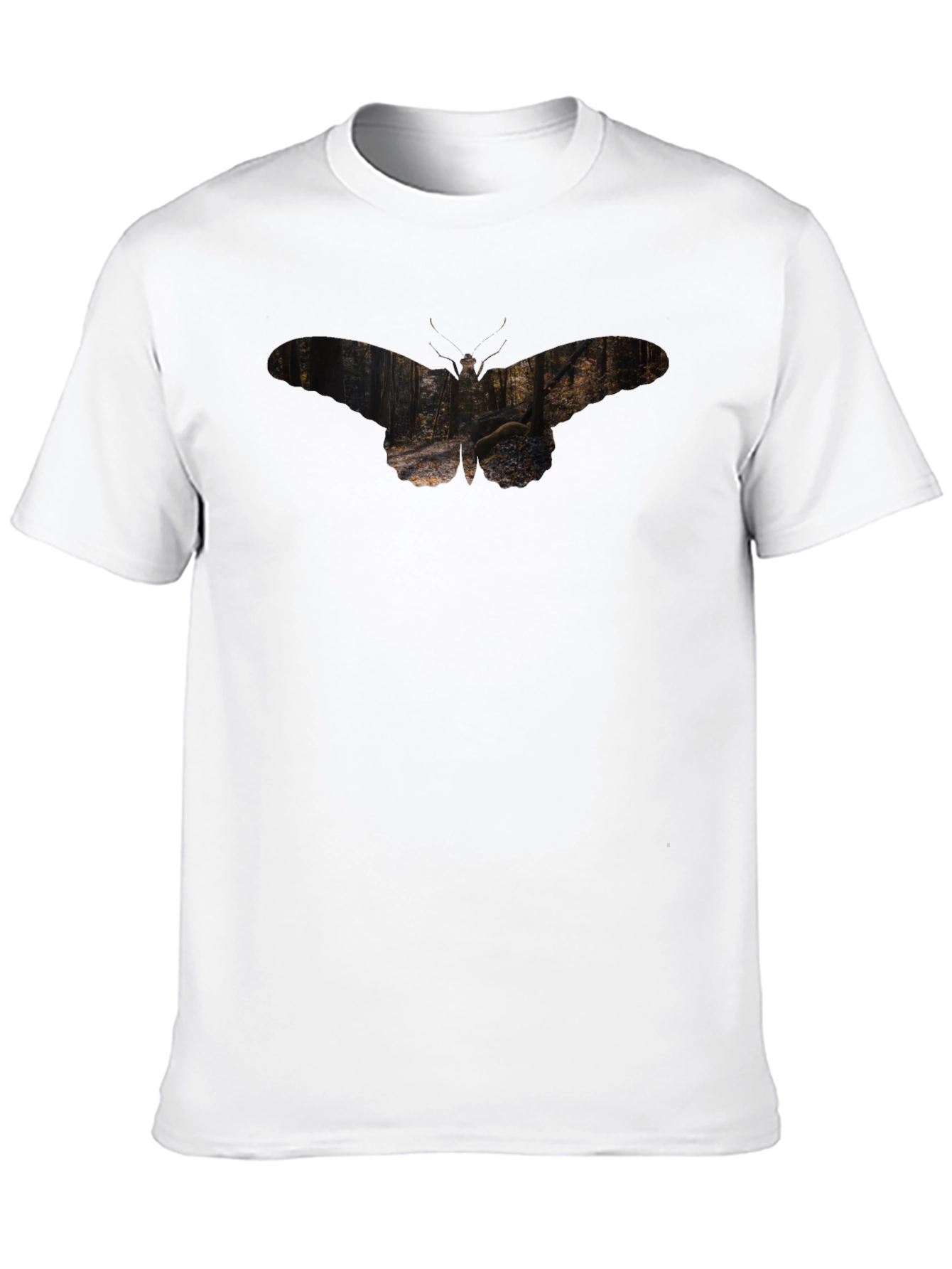 Nature Moth Graphic Tee - Soft Black T-Shirt