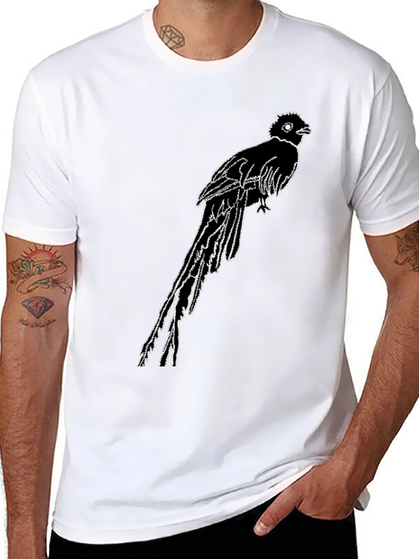 Black Graphic Tee - Resplendent Quetzal Design