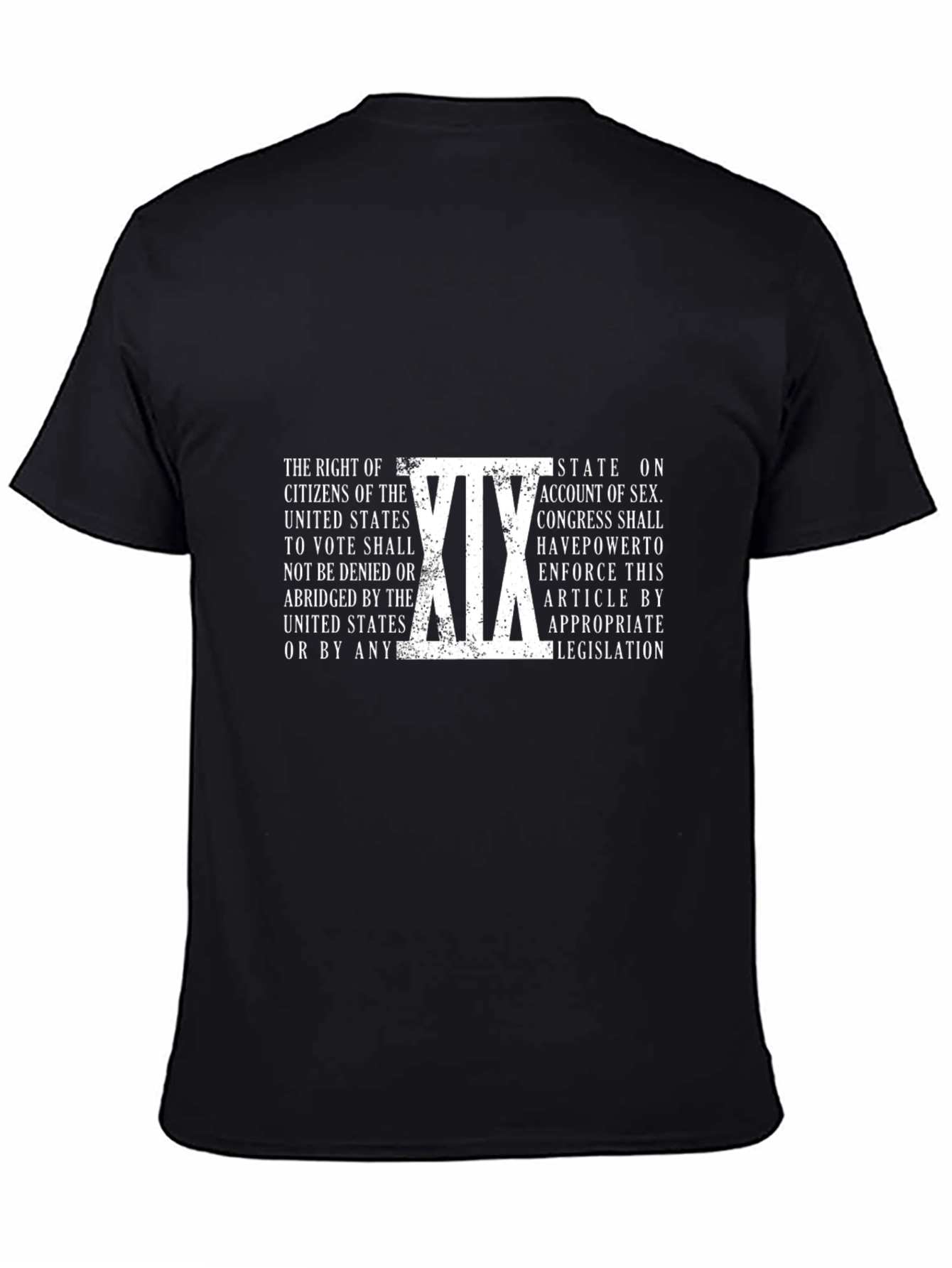 Nineteenth Amendment T-Shirt