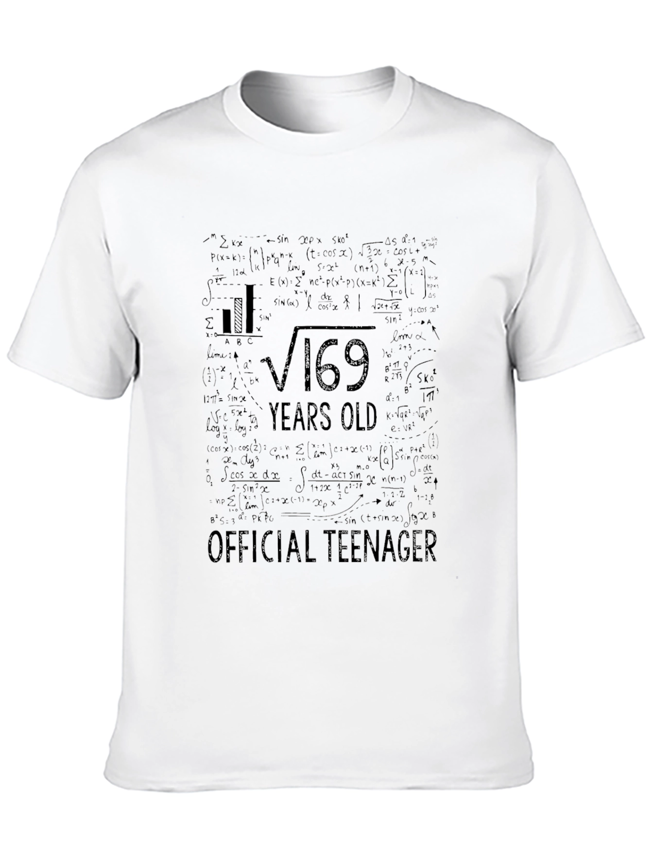 Funny Math 13th Birthday Teenager T-Shirt