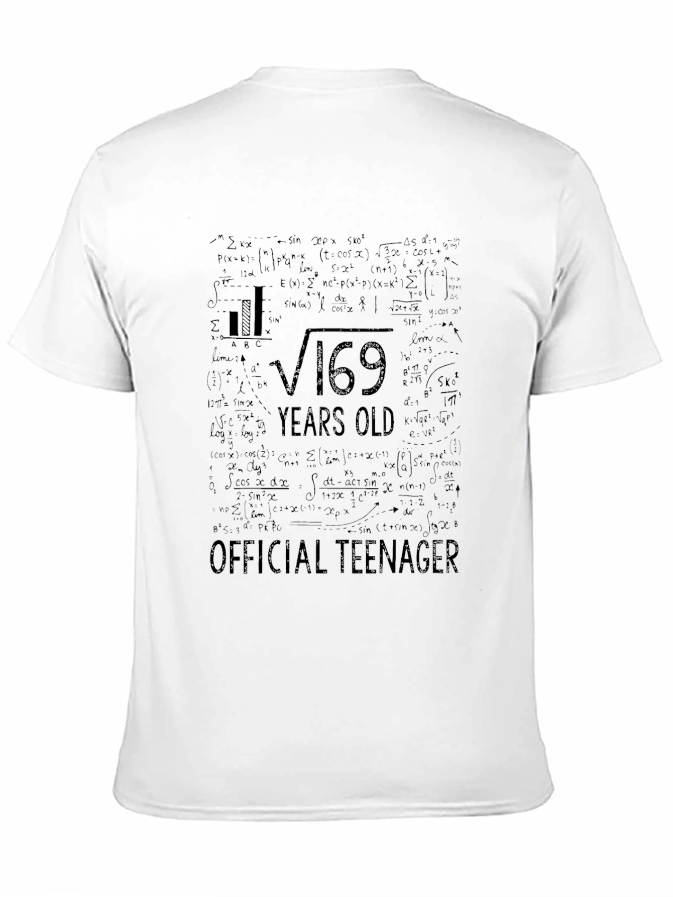 Funny Math 13th Birthday Teenager T-Shirt
