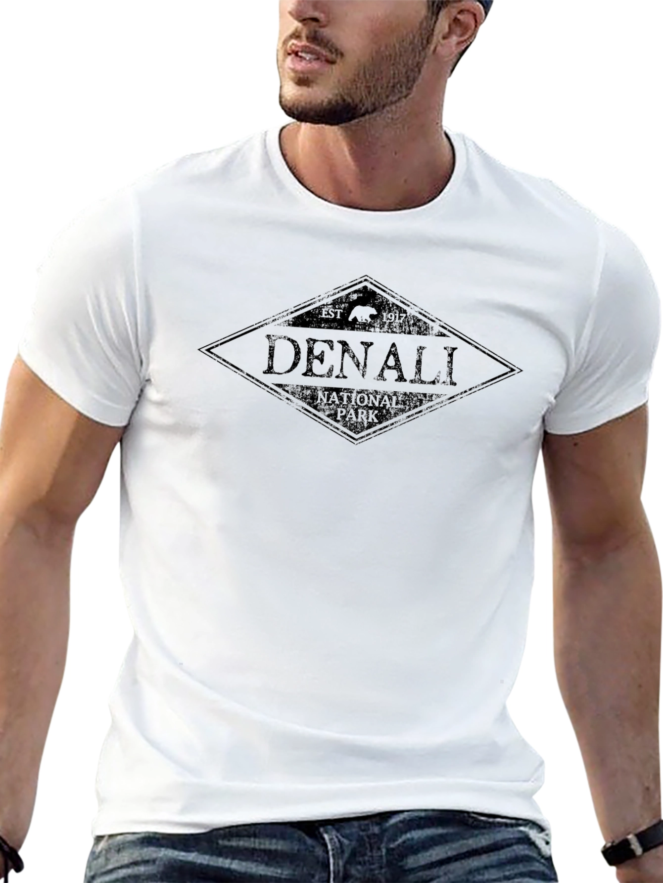 Denali National Park Black T-Shirt