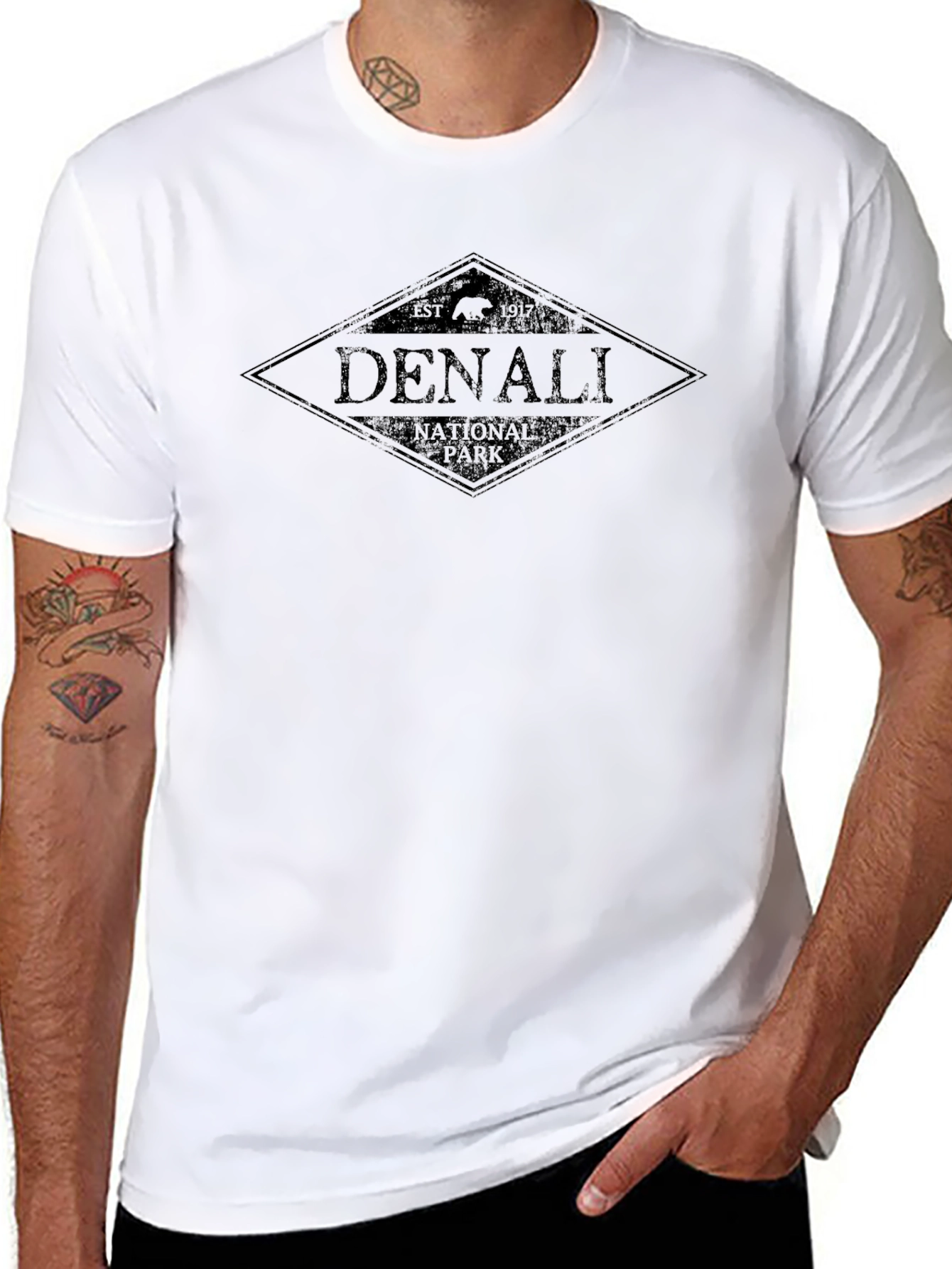 Denali National Park Black T-Shirt