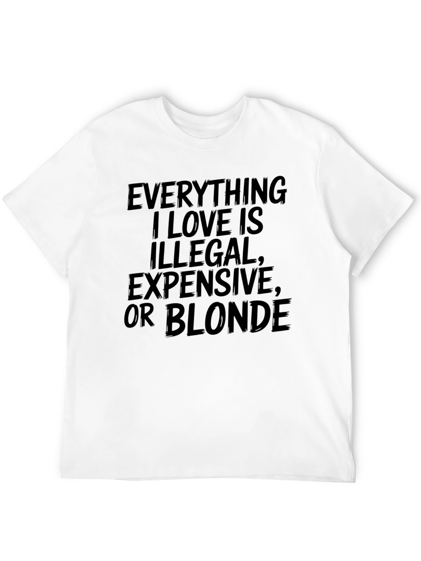 Funny Graphic Tee - Everything I Love is Illegal