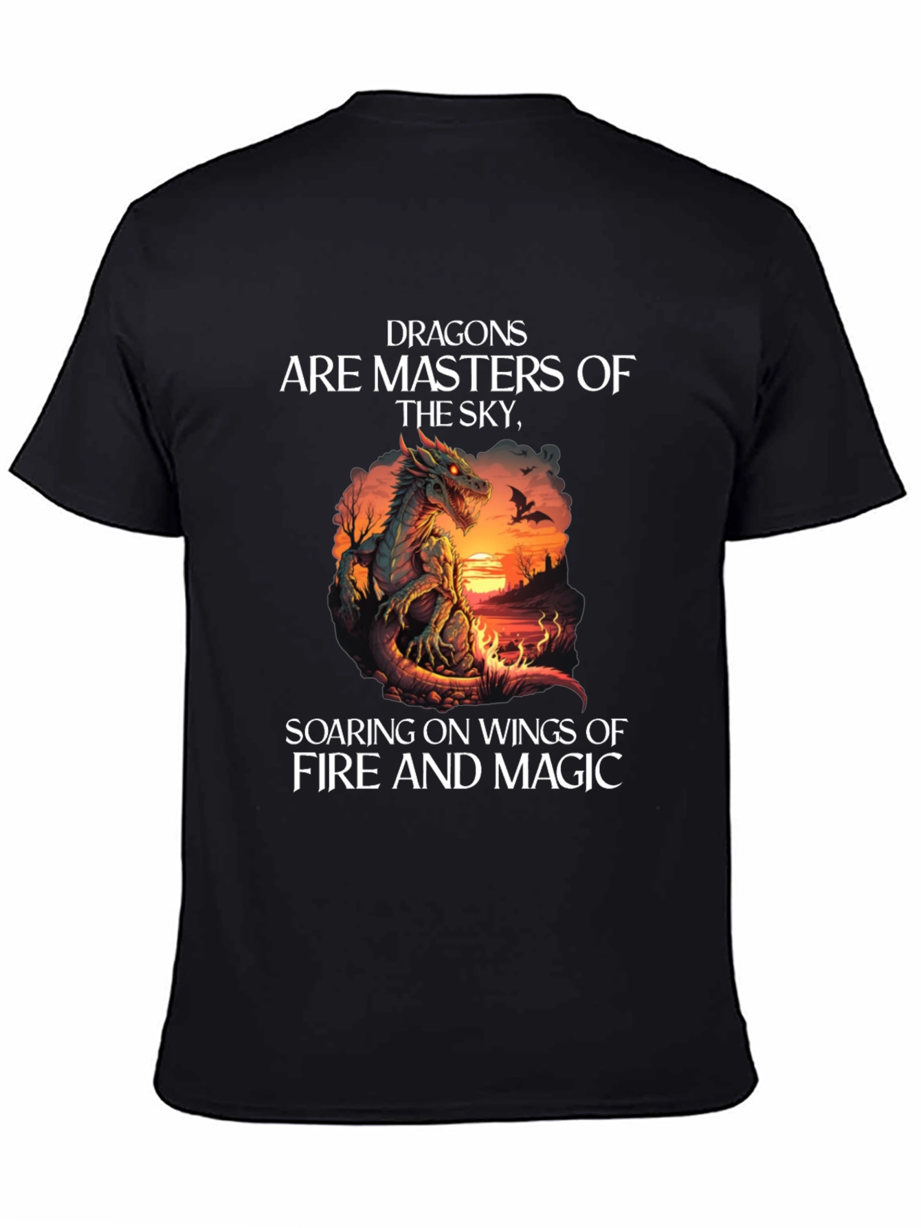 Dragon Masters of the Sky Graphic Tee