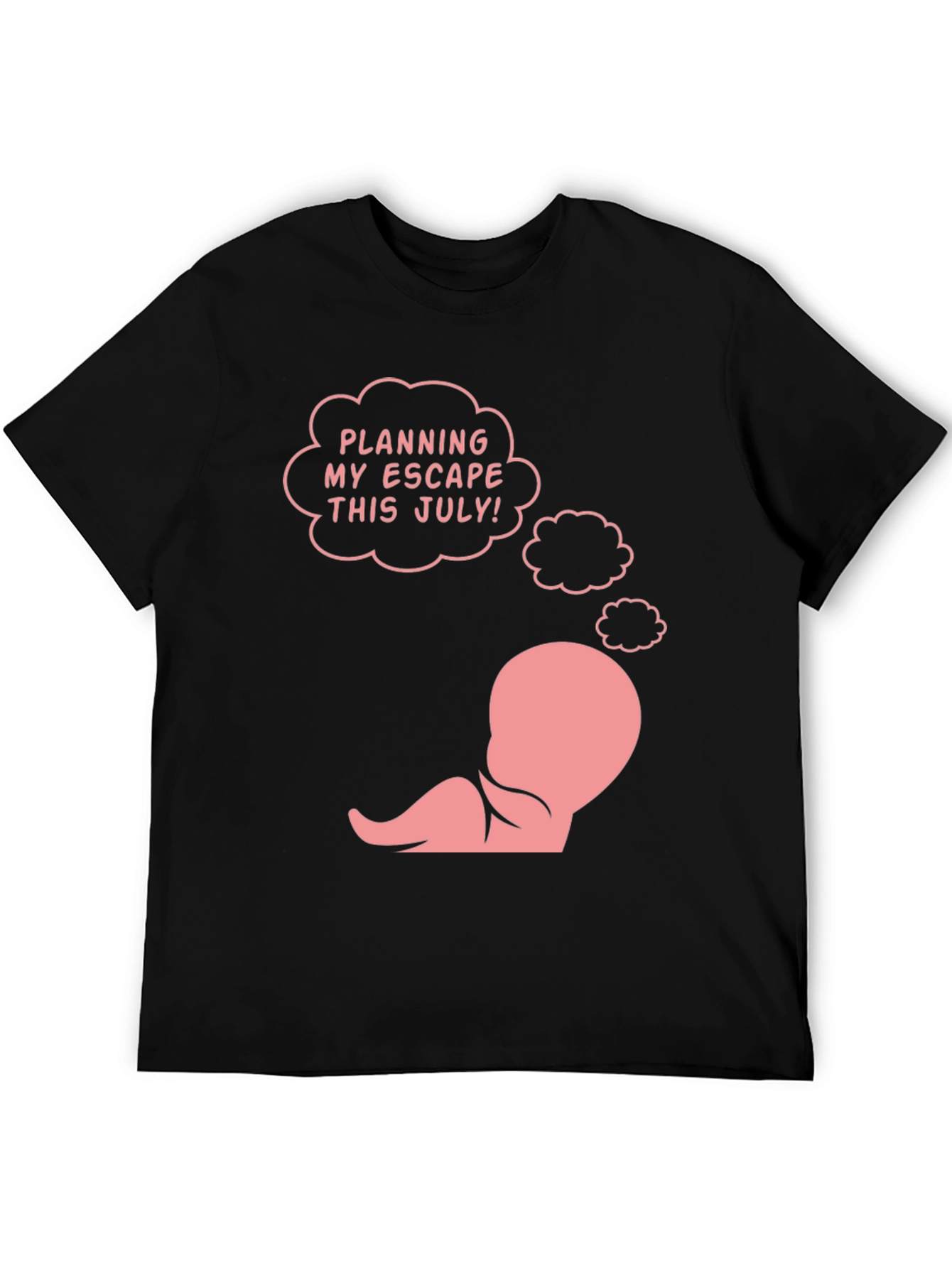 Funny Pregnancy Announcement T-Shirt