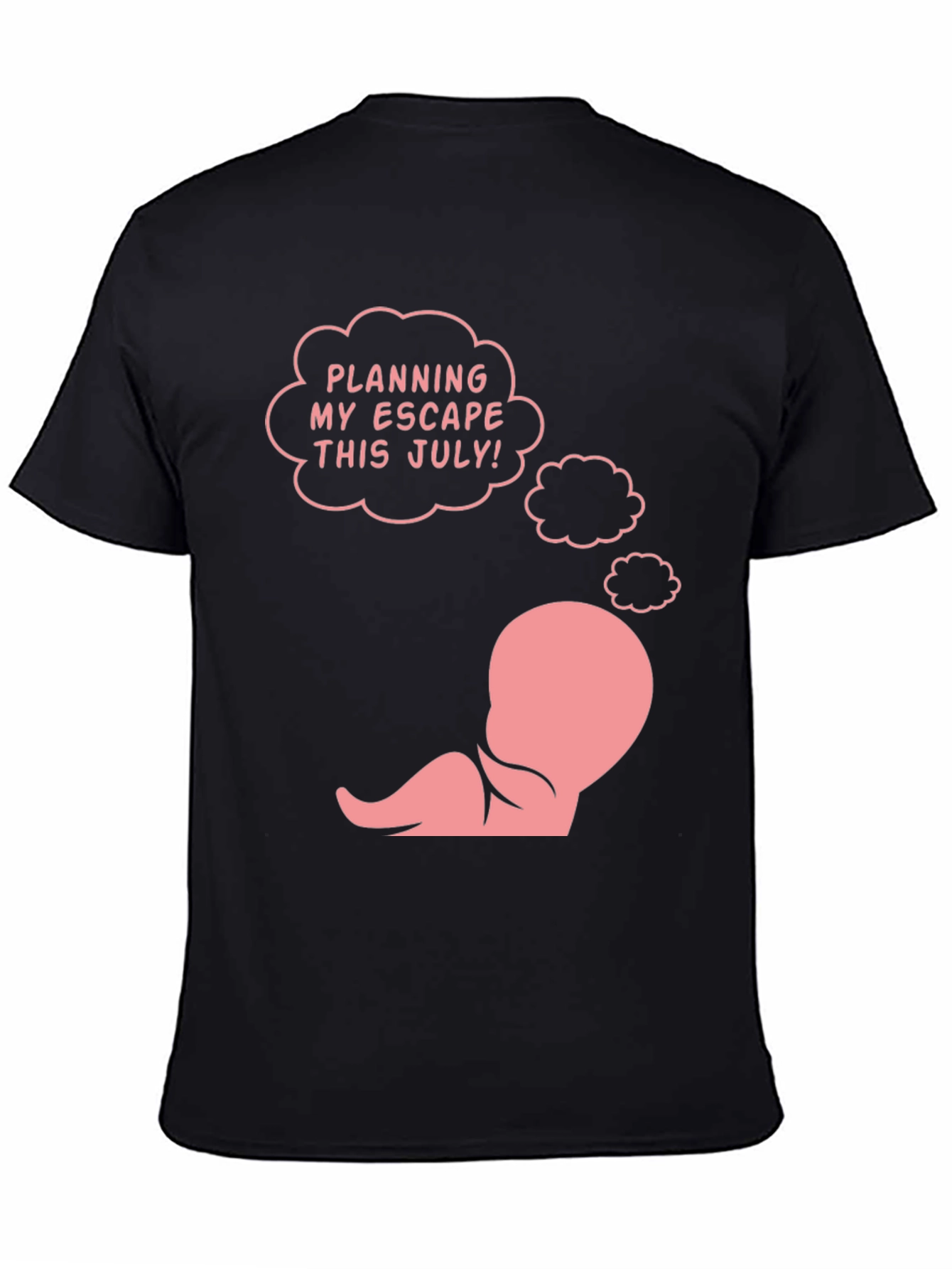 Funny Pregnancy Announcement T-Shirt