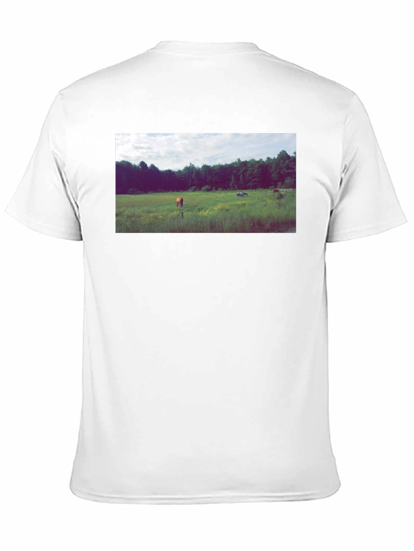Black Tee with Scenic Meadow Graphic