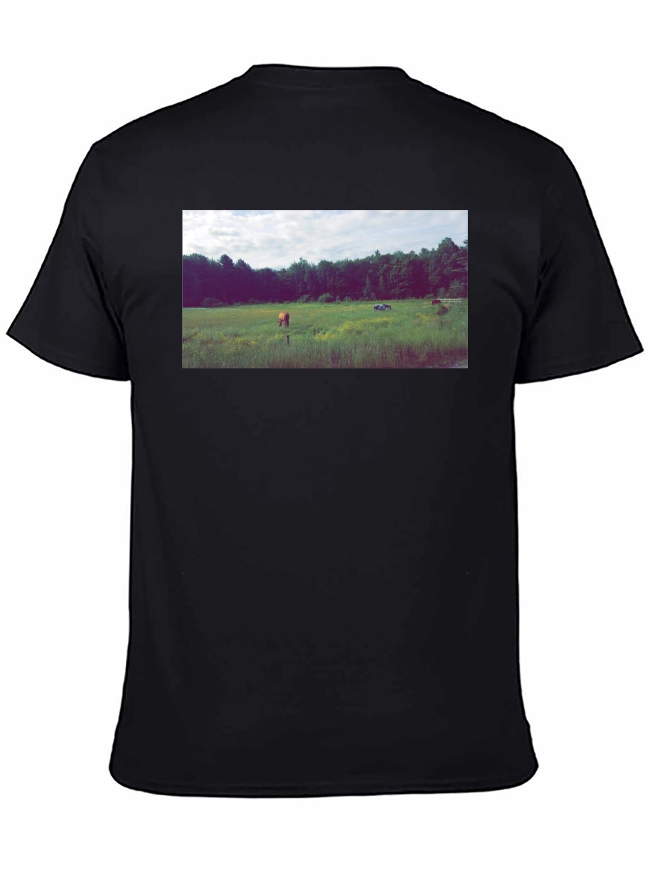 Black Tee with Scenic Meadow Graphic