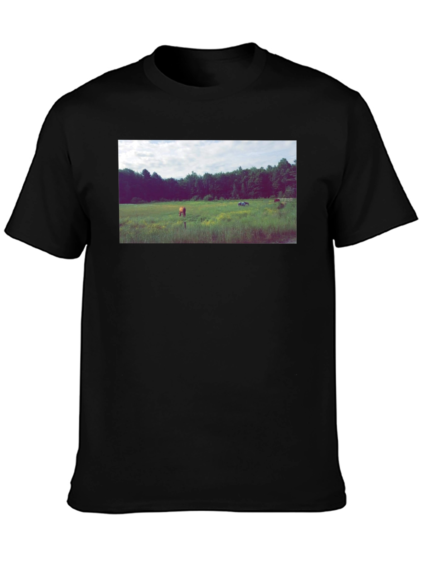 Black Tee with Scenic Meadow Graphic