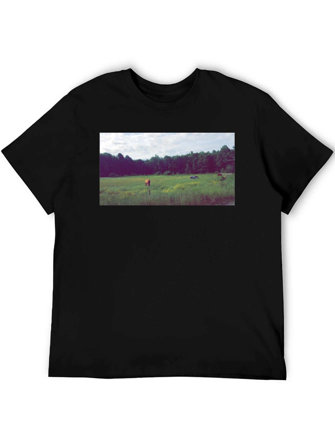 Black Tee with Scenic Meadow Graphic