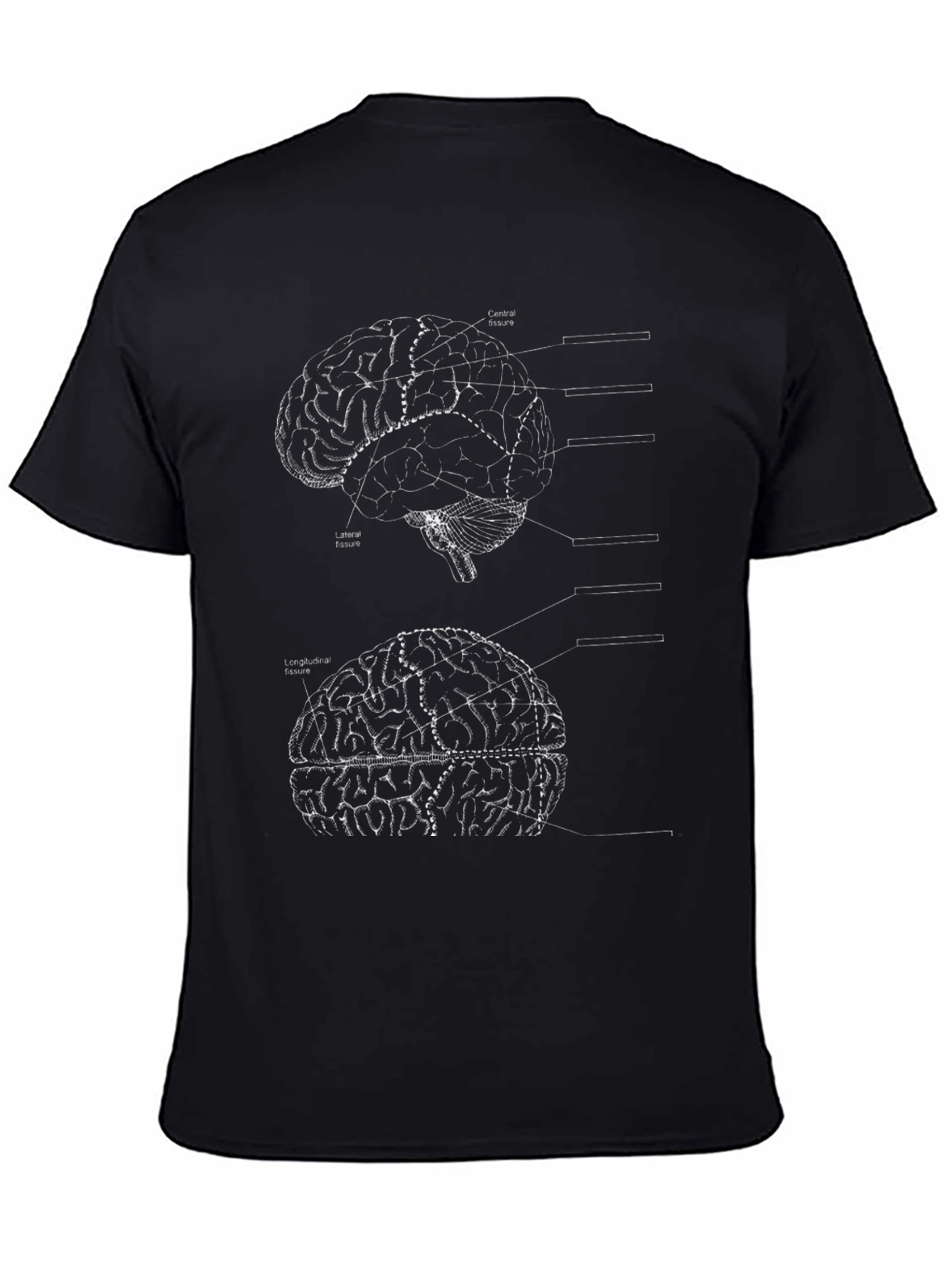 Brain Diagram Graphic Tee - Anatomy Style