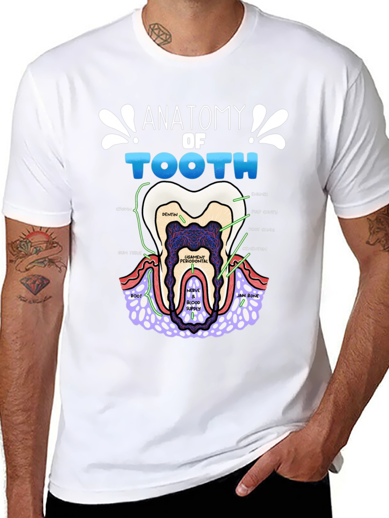 Anatomy of a Tooth T-Shirt Dental Gift