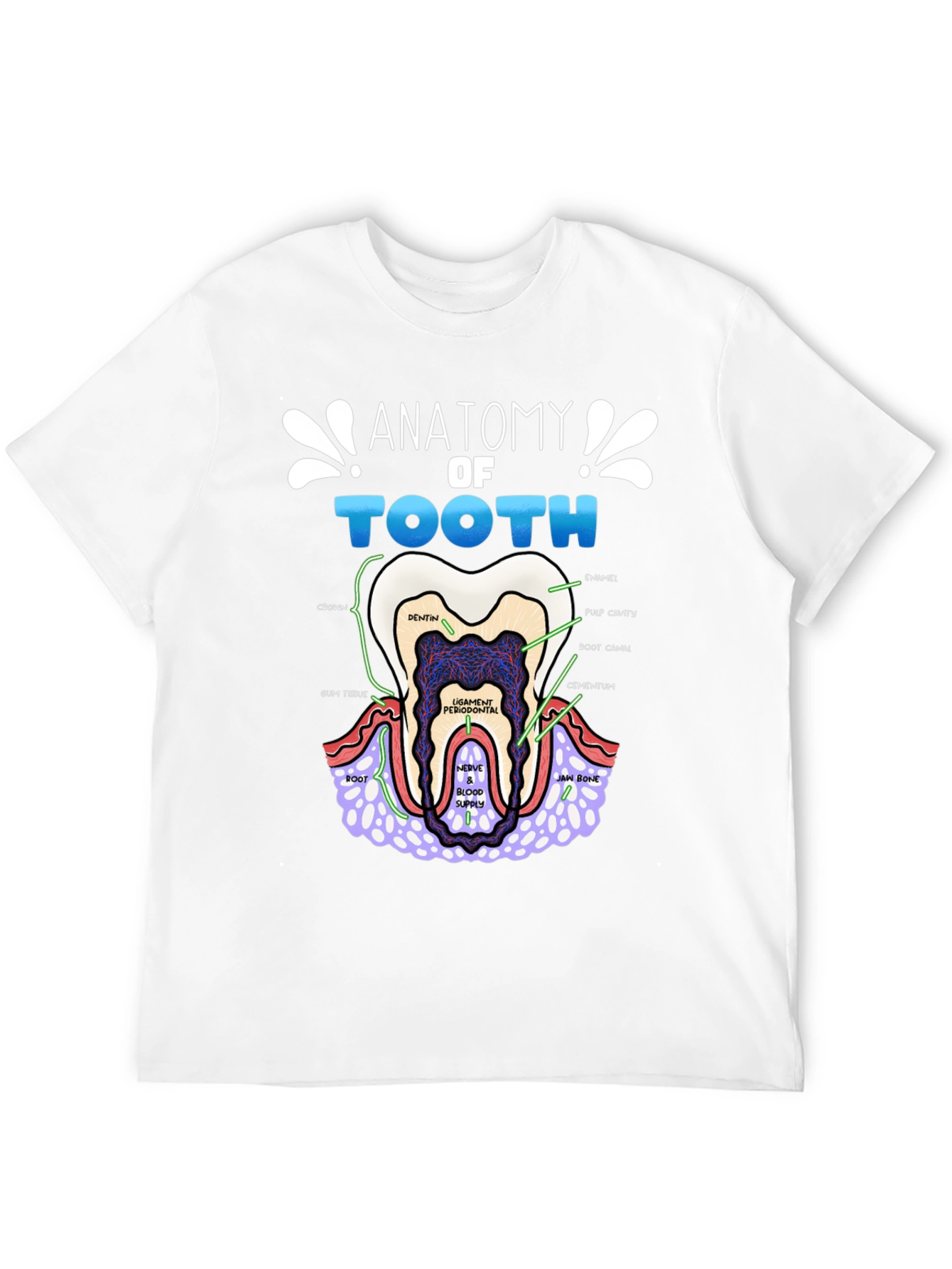 Anatomy of a Tooth T-Shirt Dental Gift