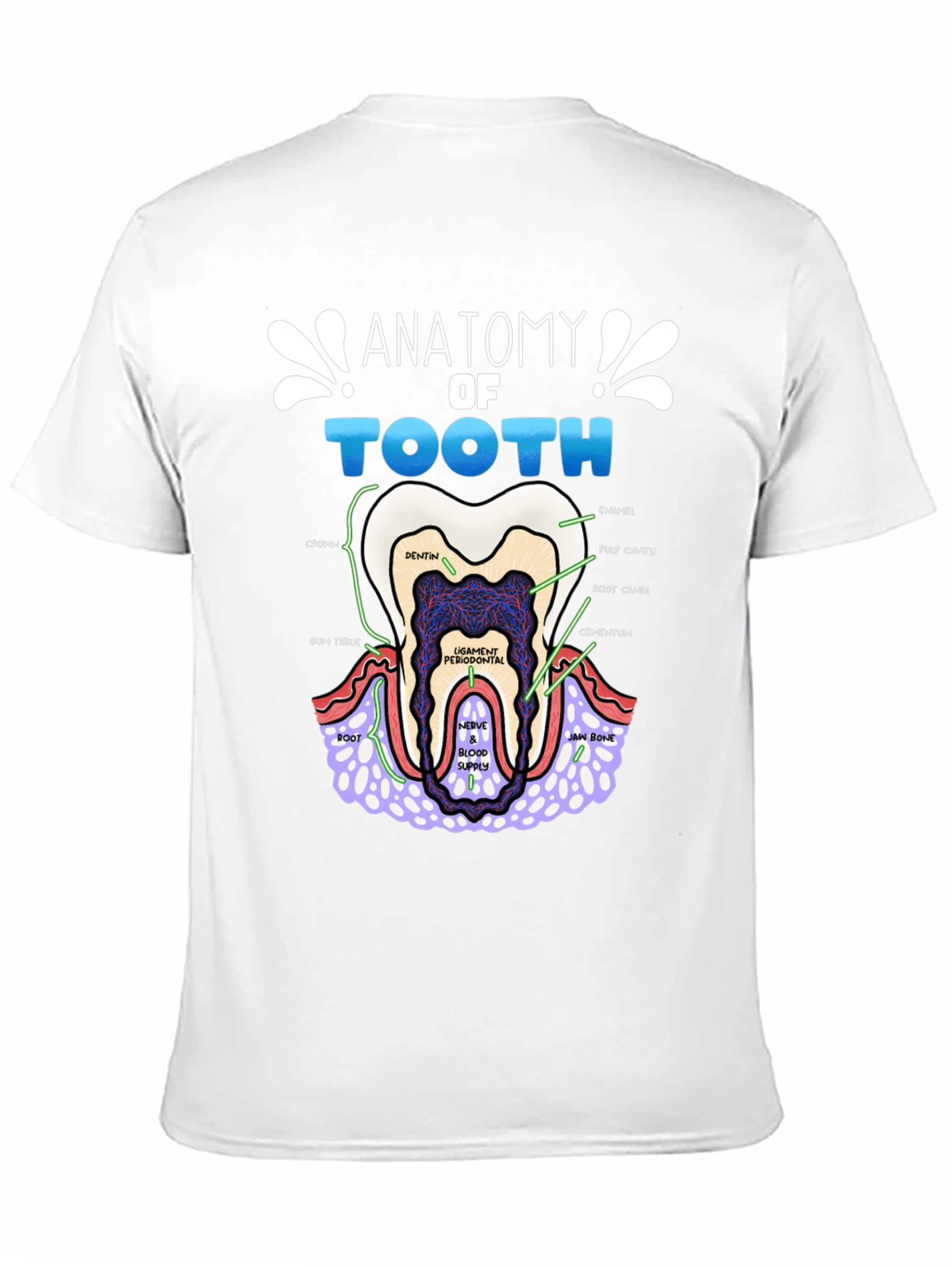 Anatomy of a Tooth T-Shirt Dental Gift