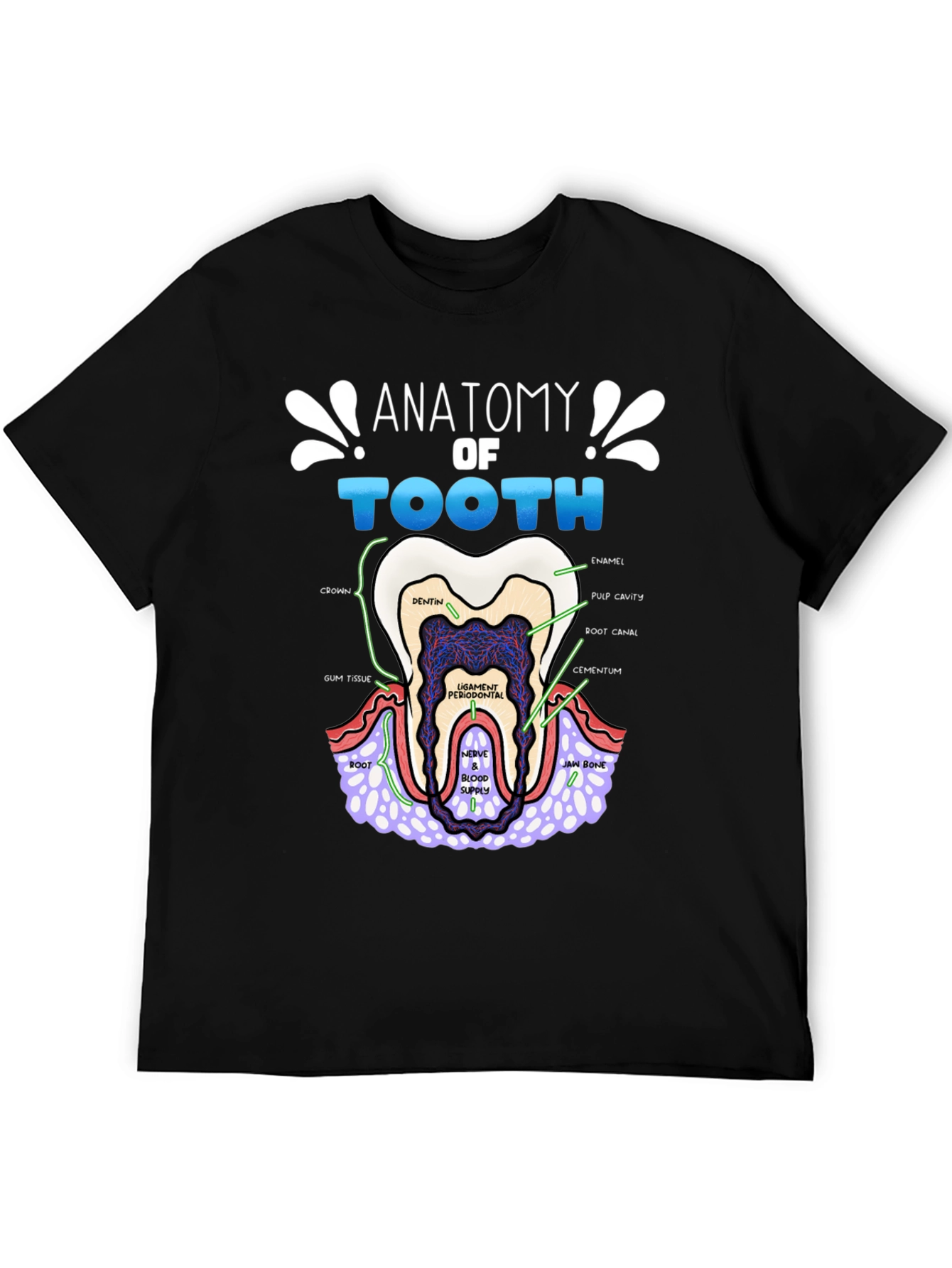 Anatomy of a Tooth T-Shirt Dental Gift