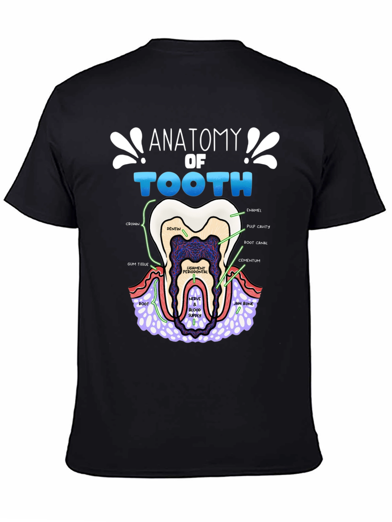 Anatomy of a Tooth T-Shirt Dental Gift