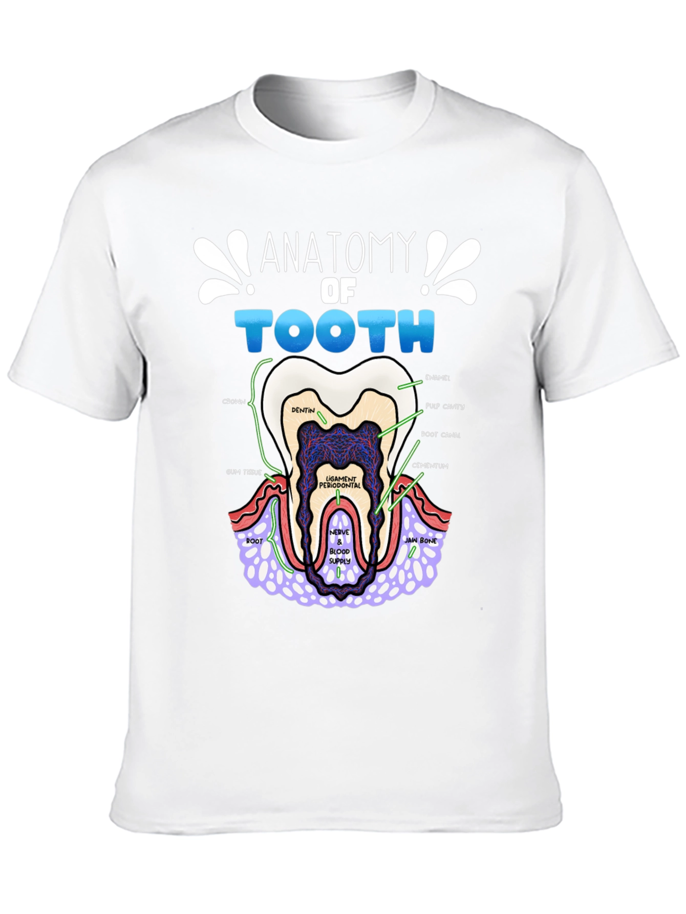 Anatomy of a Tooth T-Shirt Dental Gift