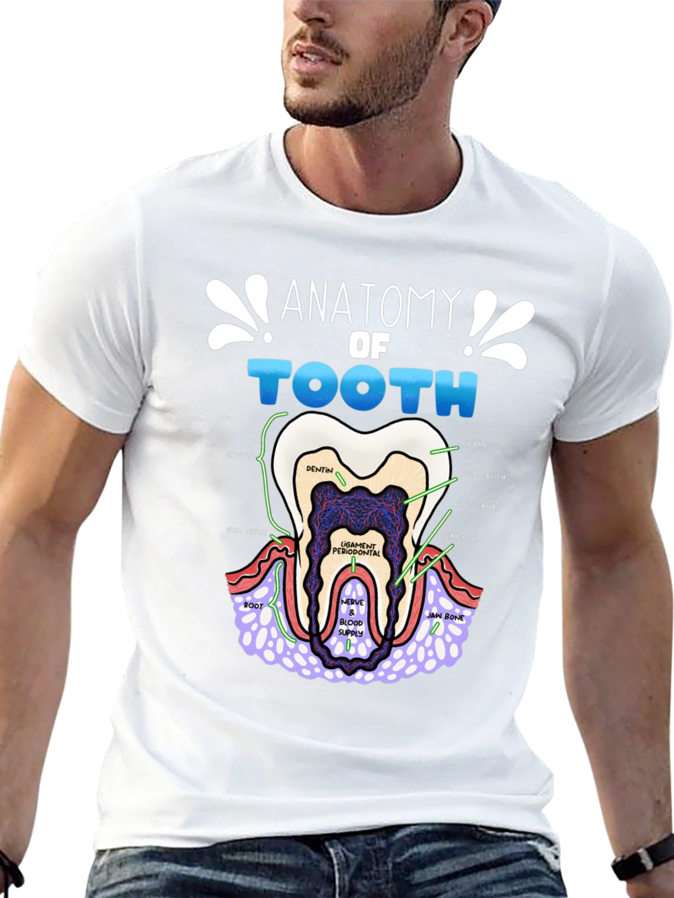 Anatomy of a Tooth T-Shirt Dental Gift