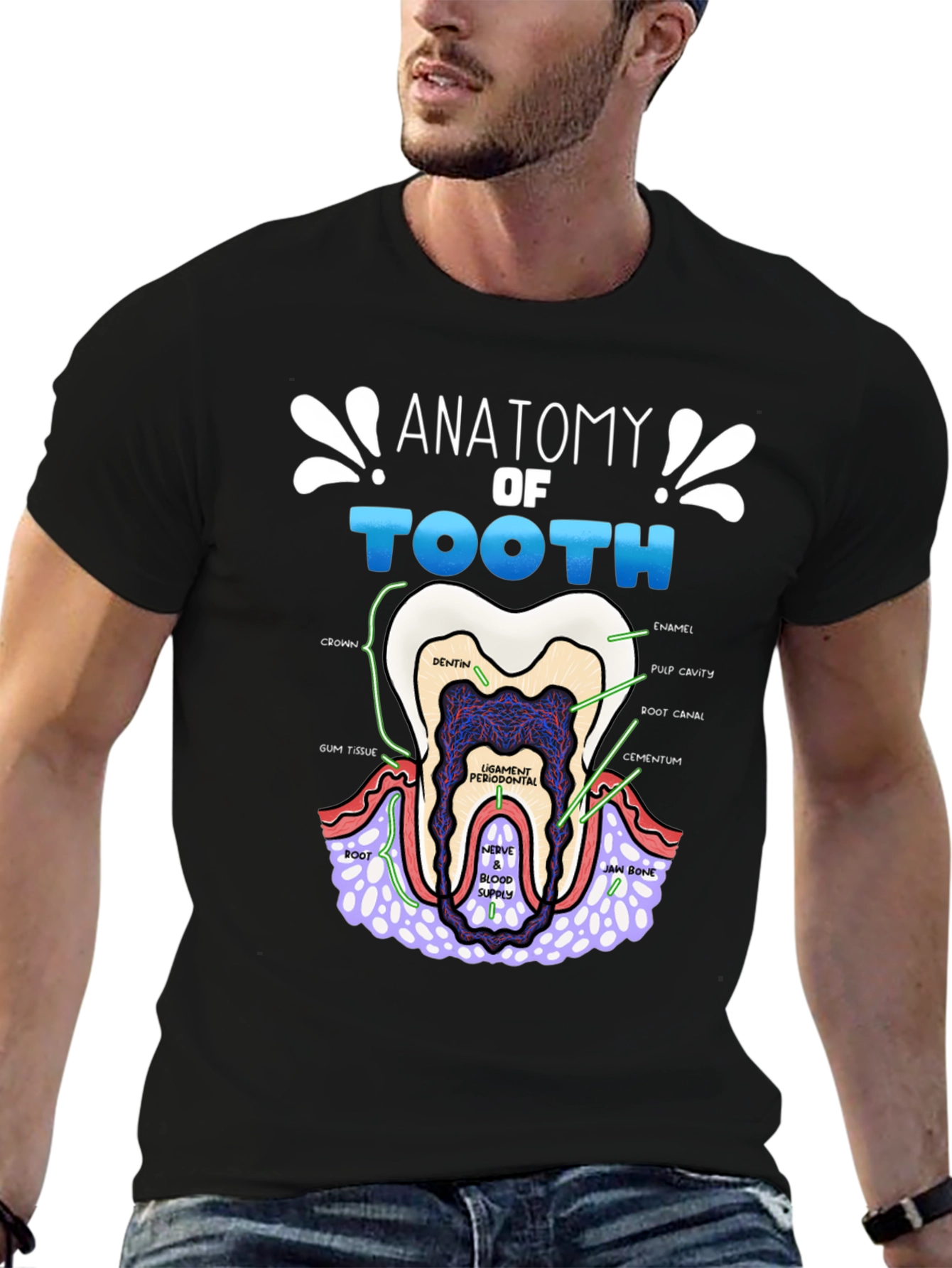 Anatomy of a Tooth T-Shirt Dental Gift