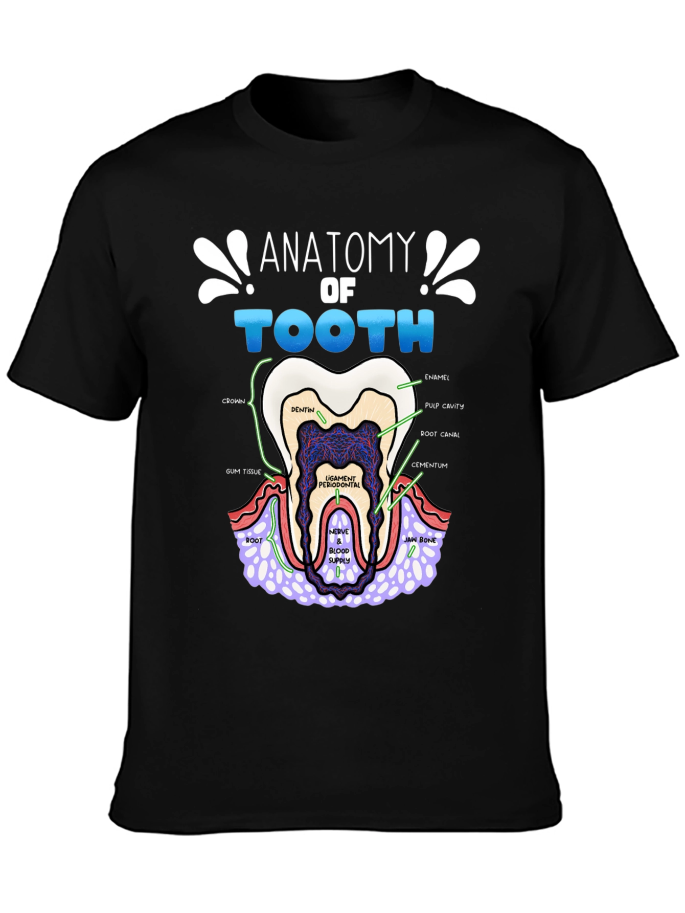 Anatomy of a Tooth T-Shirt Dental Gift