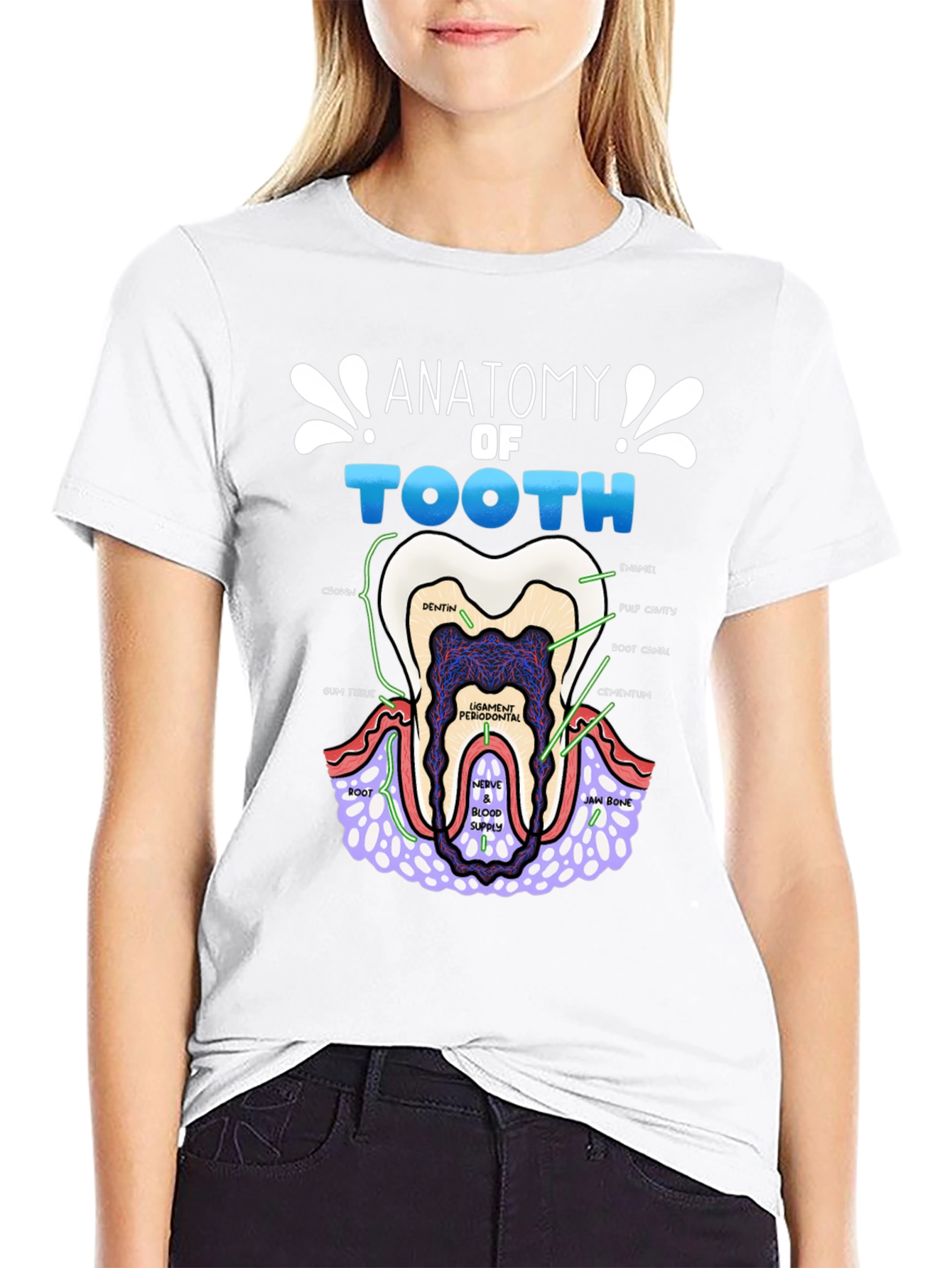 Anatomy of a Tooth T-Shirt Dental Gift
