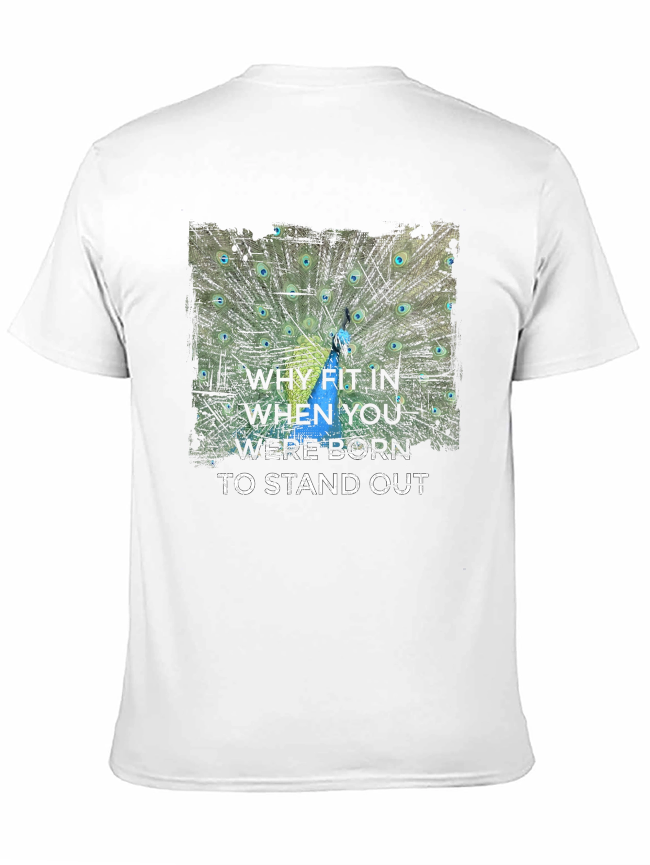 Stand Out Peacock Graphic Tee - Black Cotton T-Shirt