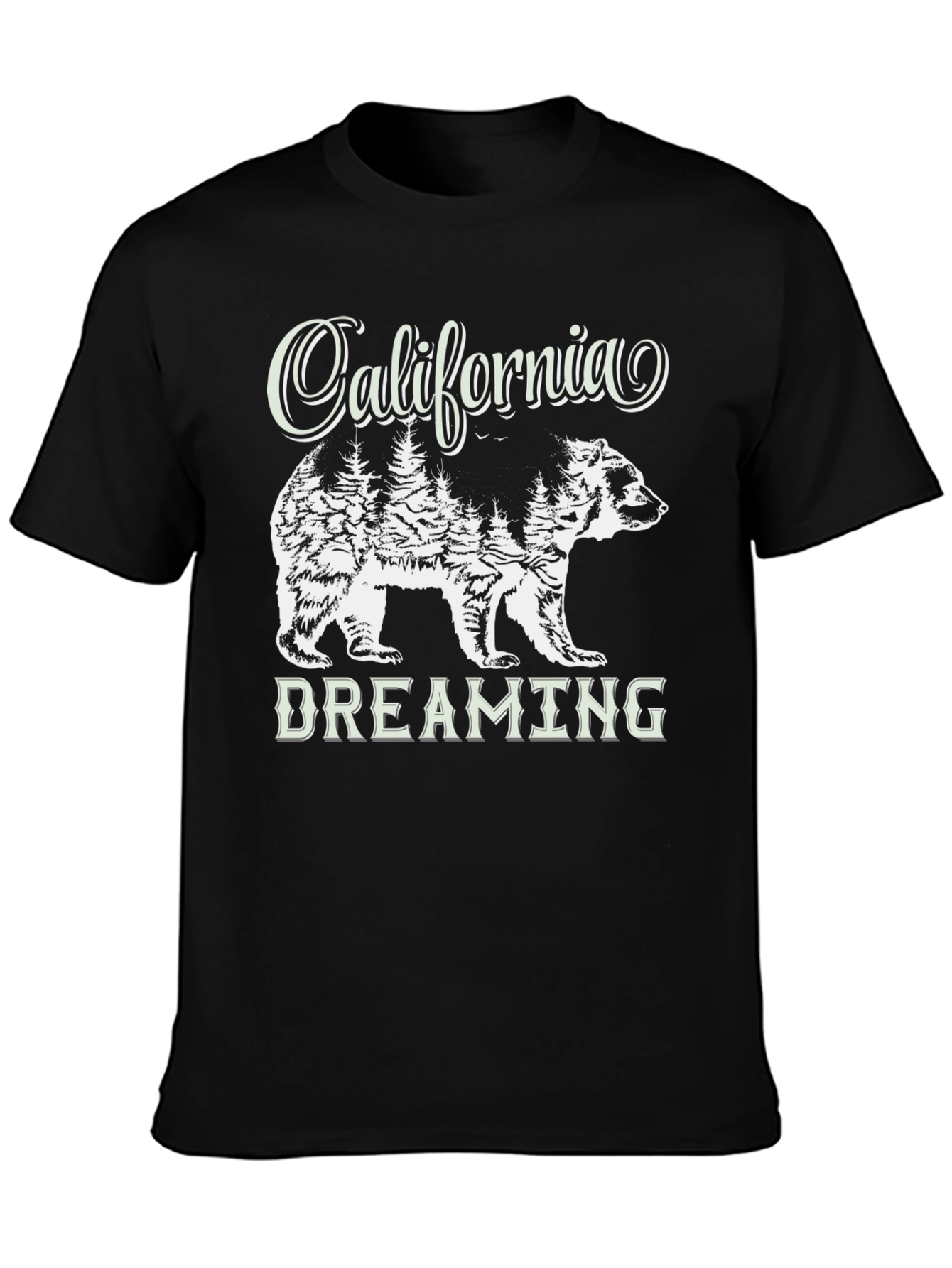 California Dreaming Bear Graphic T-Shirt