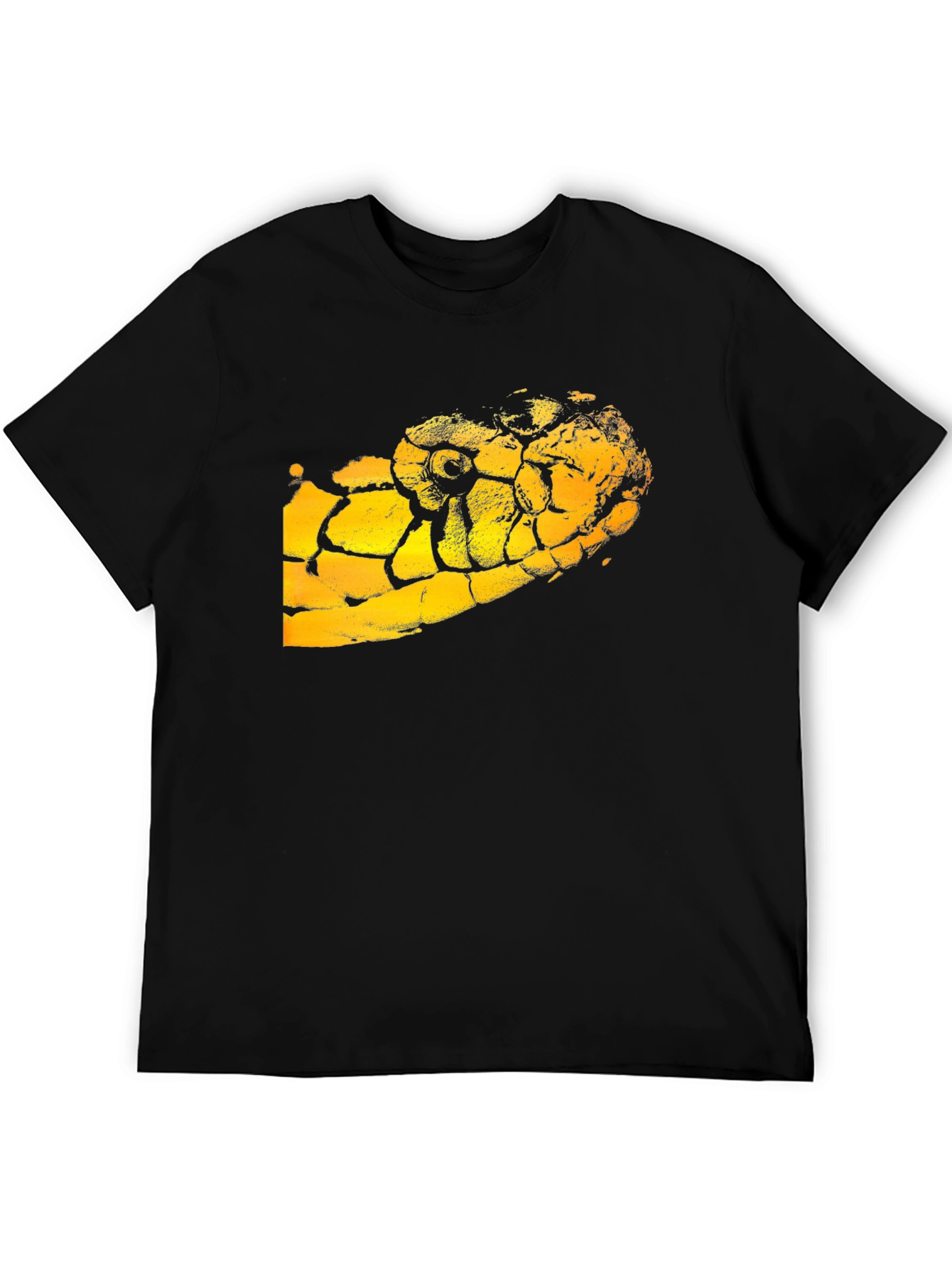 Black T-Shirt with Snake Graphic