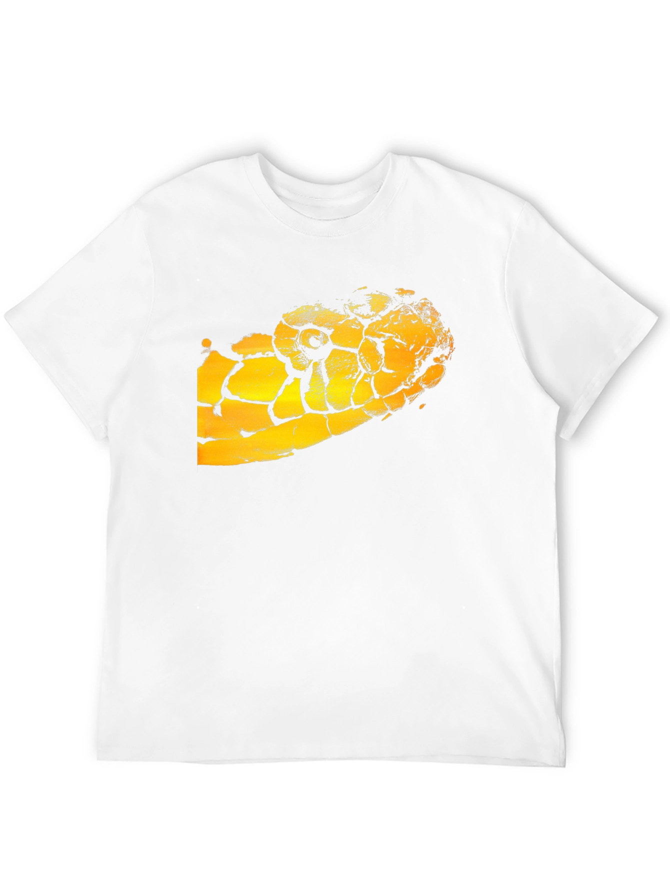 Black T-Shirt with Snake Graphic