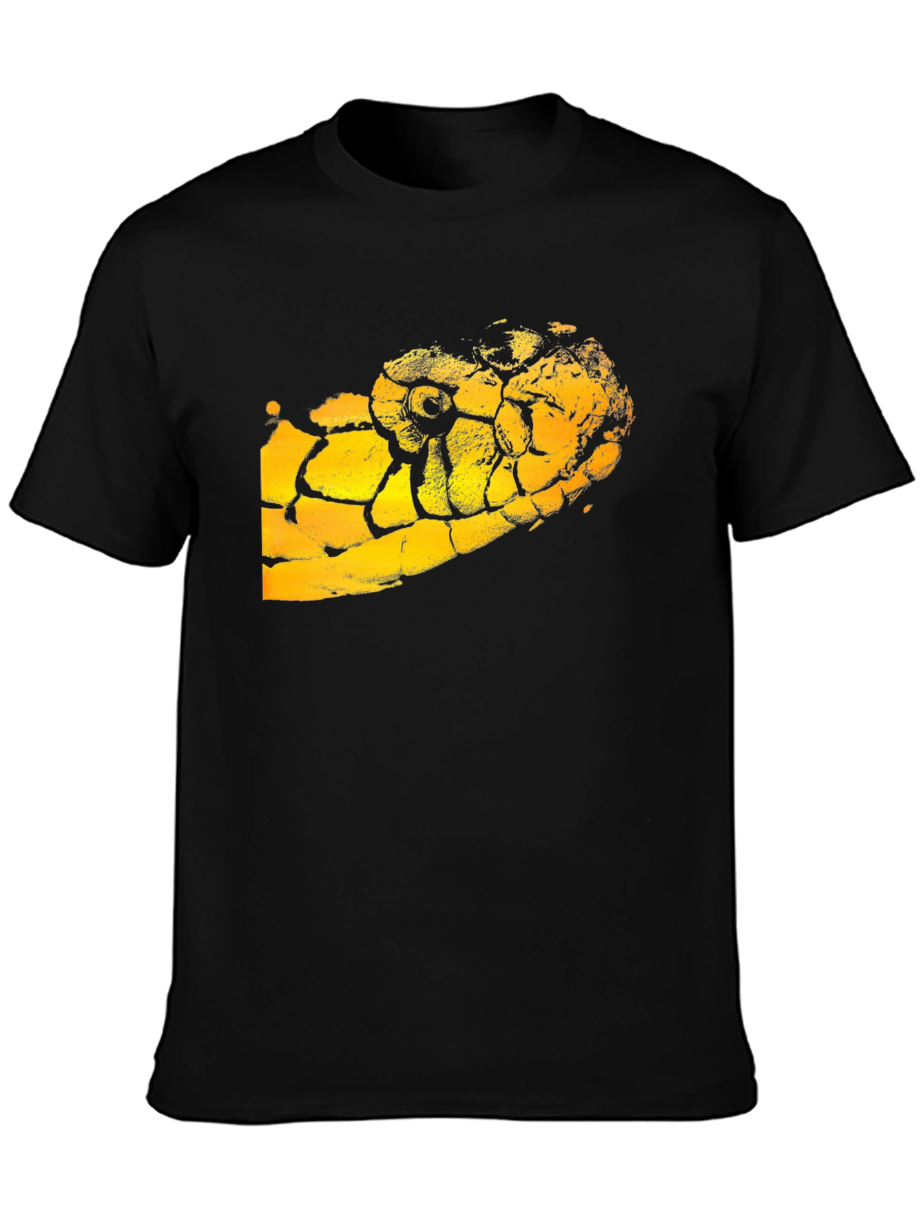 Black T-Shirt with Snake Graphic