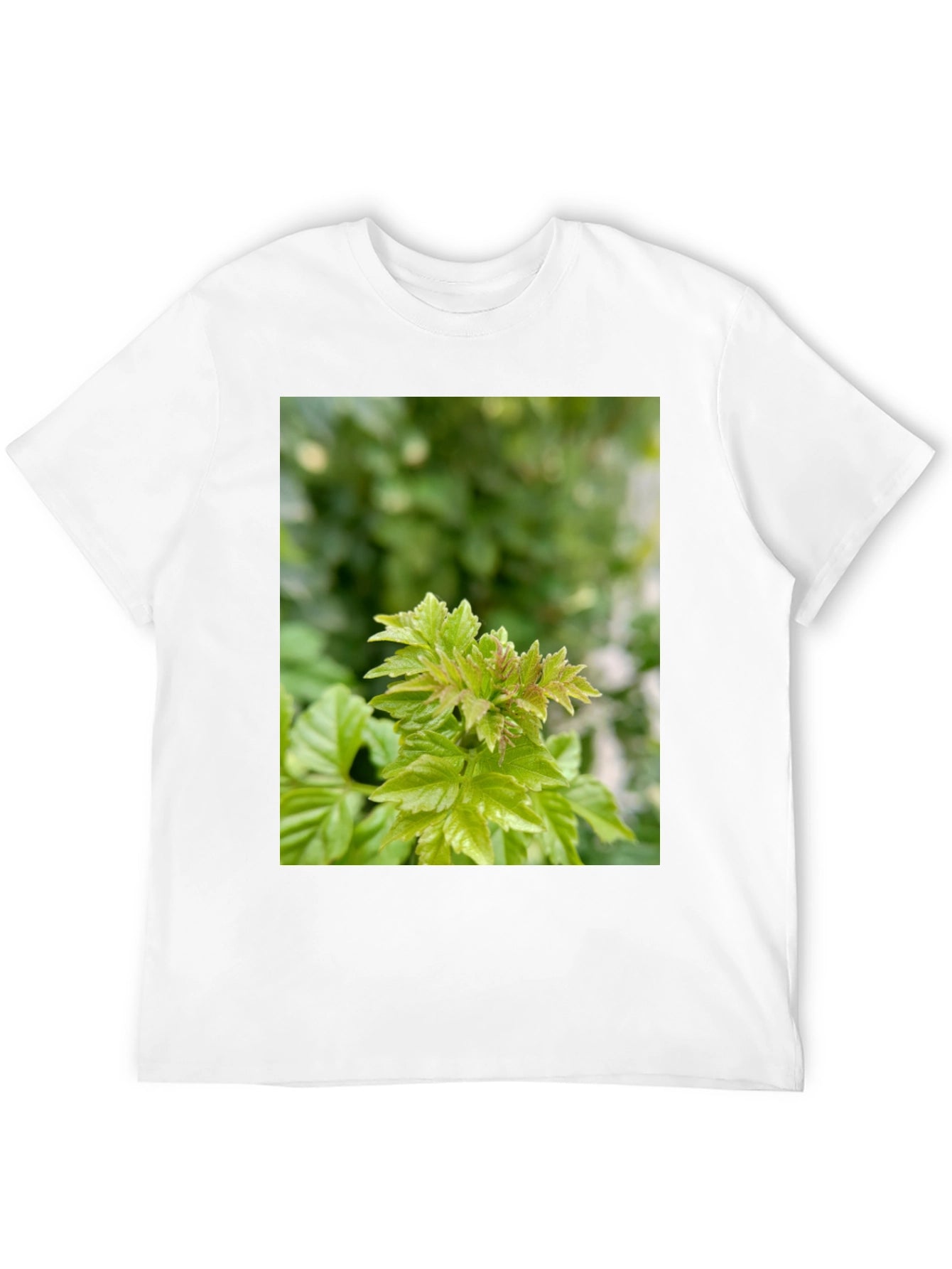 Leaf Print Black T-Shirt