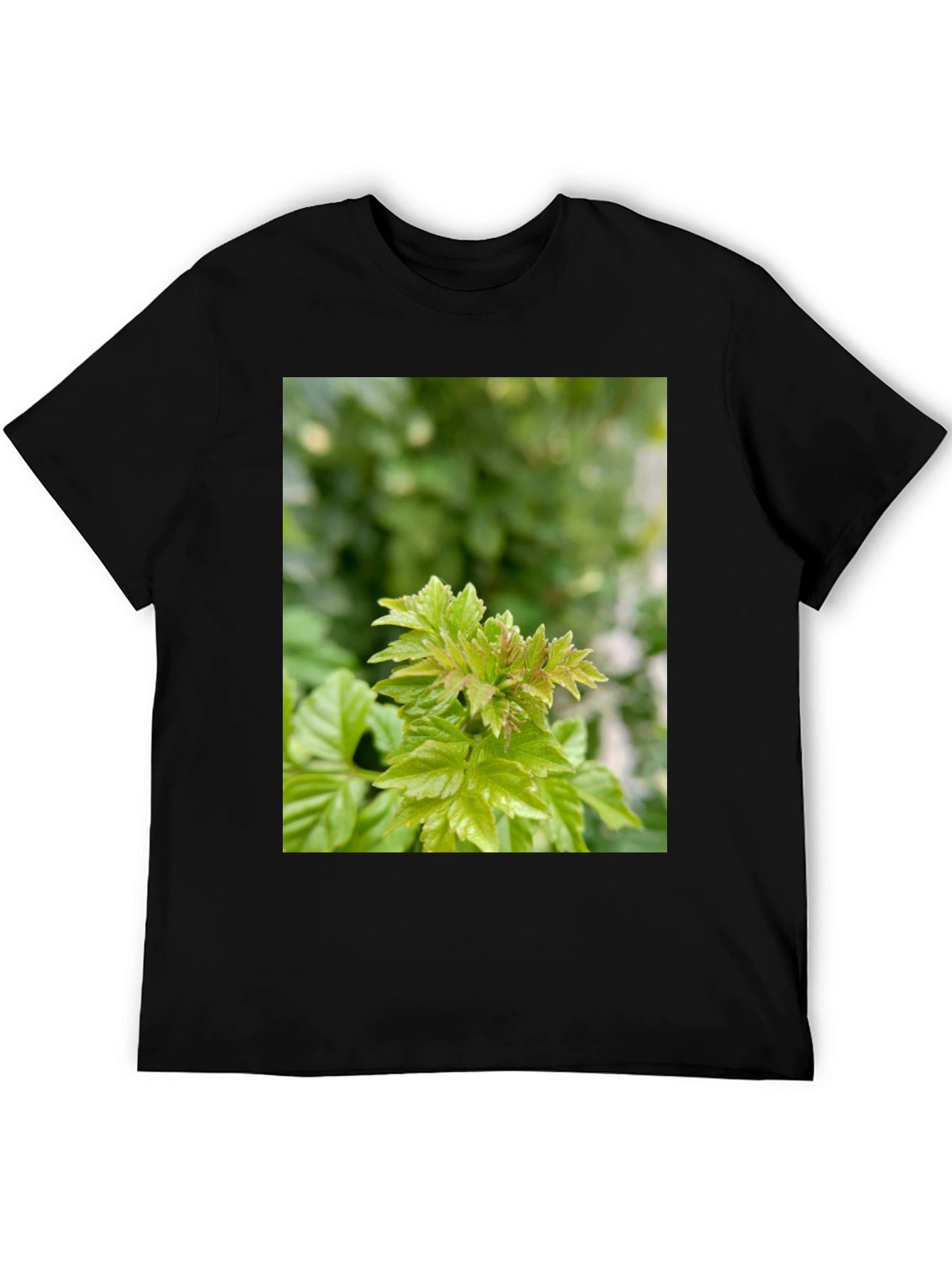 Leaf Print Black T-Shirt