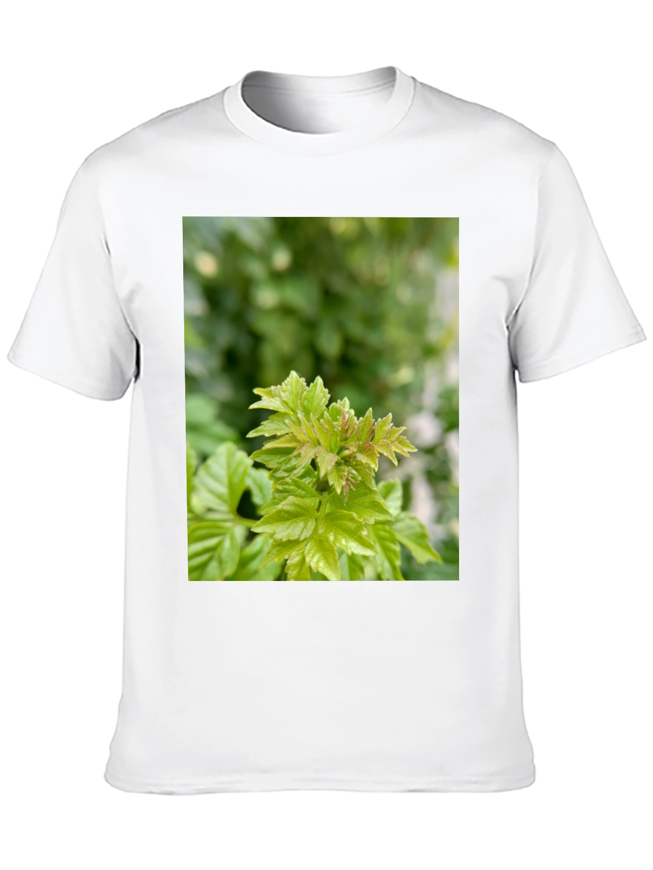Leaf Print Black T-Shirt