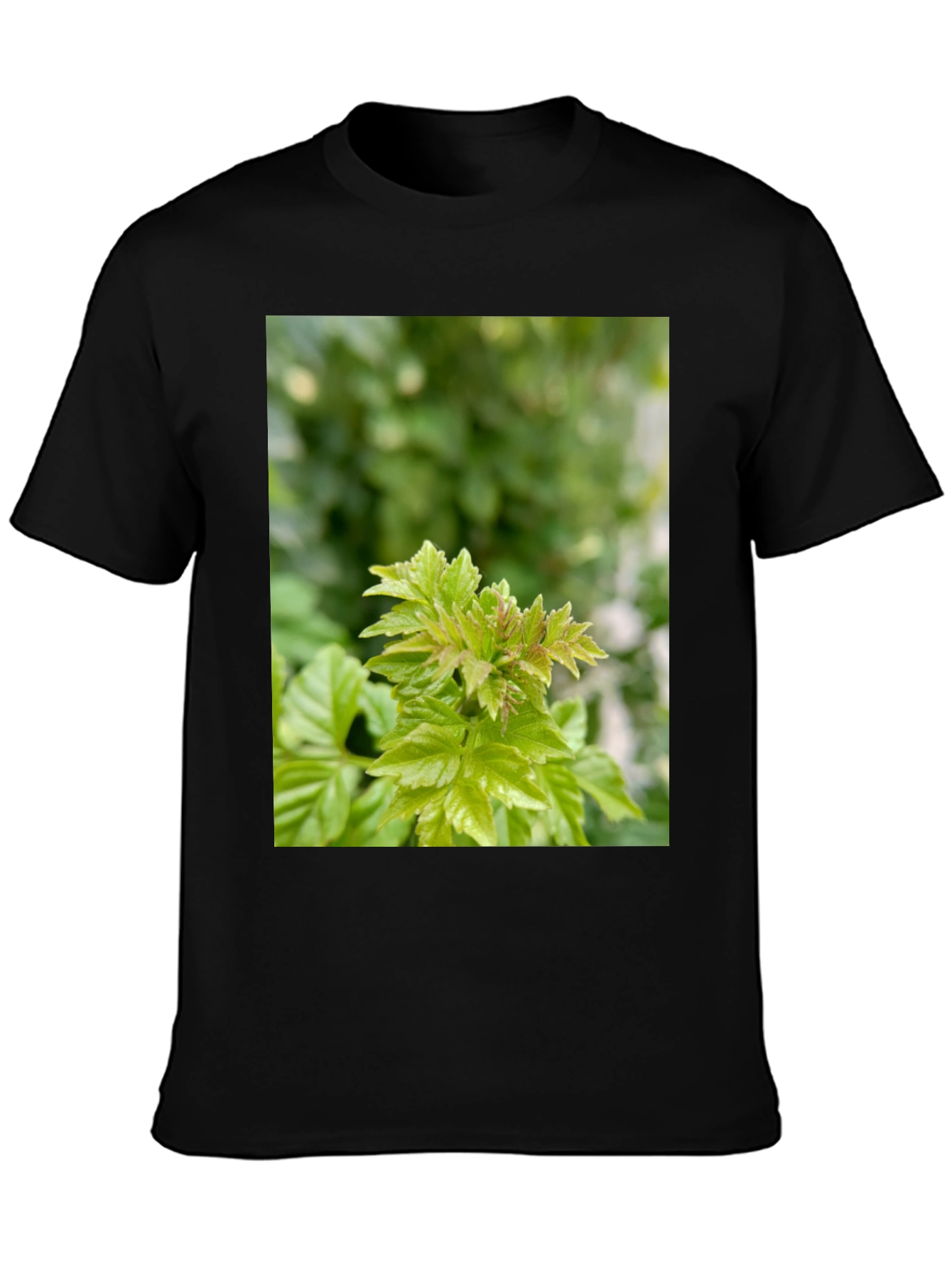 Leaf Print Black T-Shirt