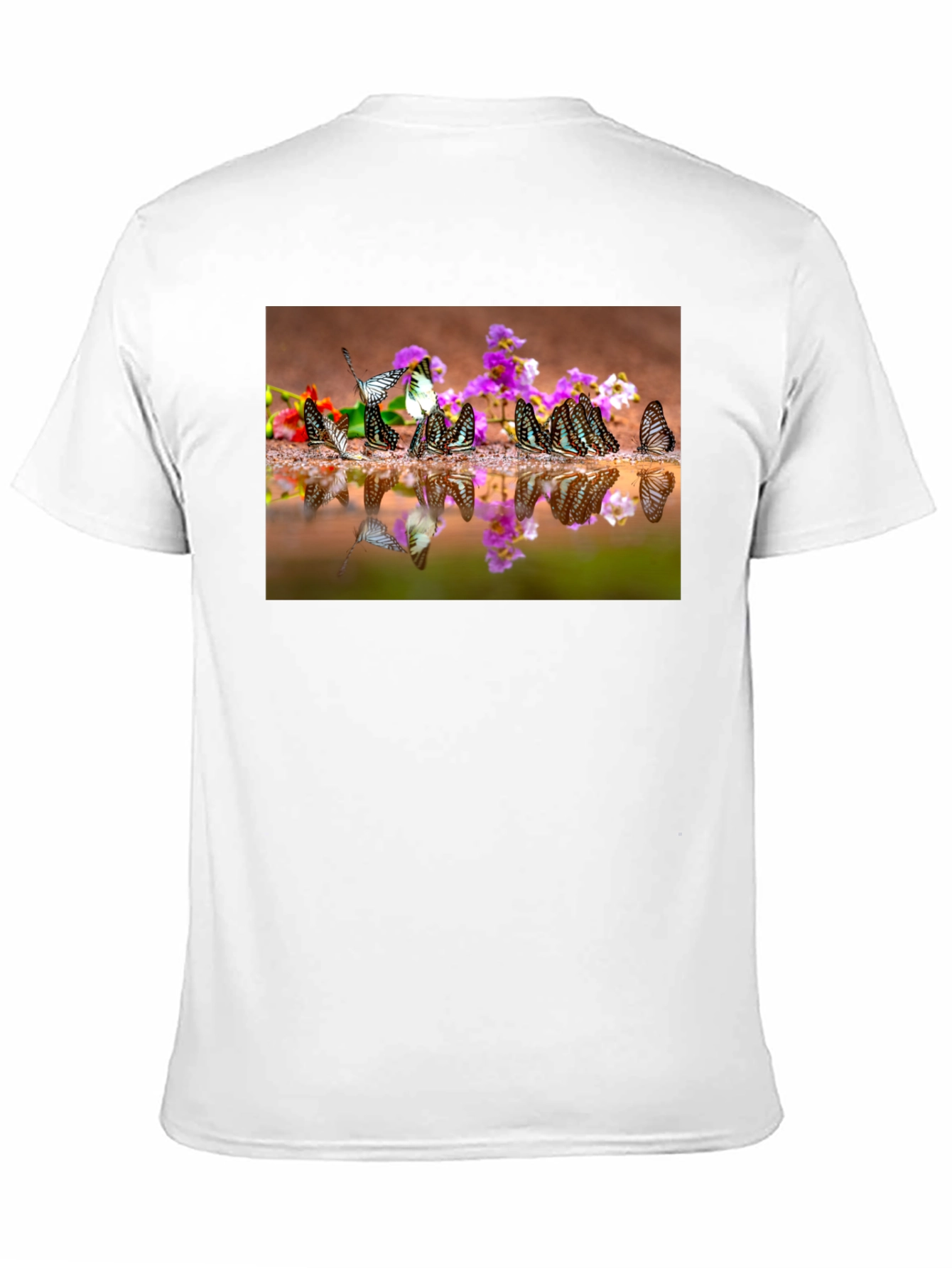 Butterfly Reflection Graphic Tee