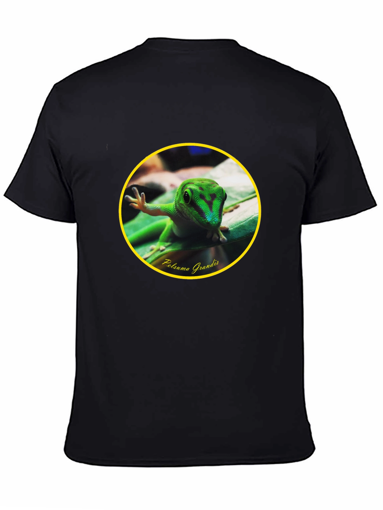 Gecko Phelsuma Grandis Graphic Tee