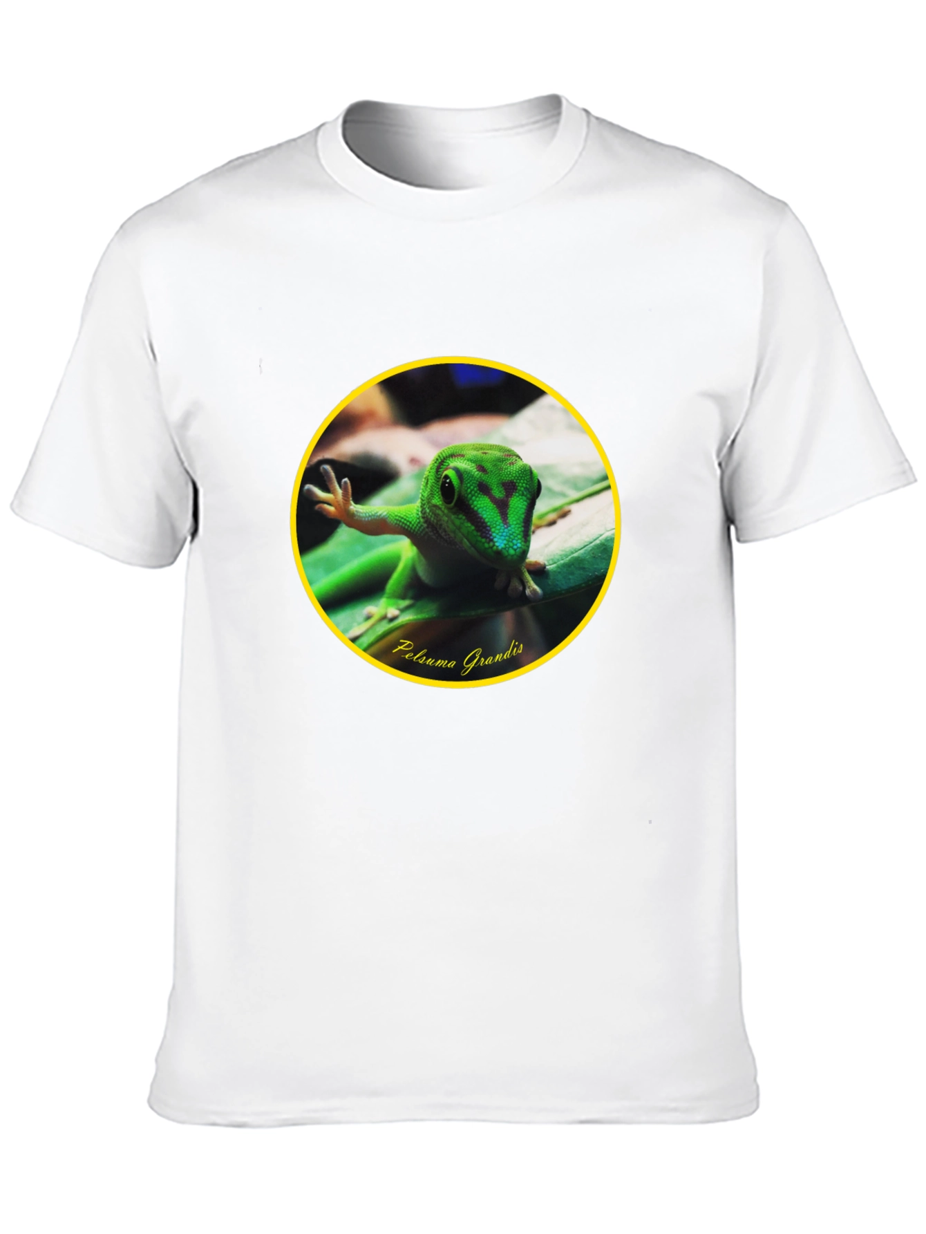 Gecko Phelsuma Grandis Graphic Tee