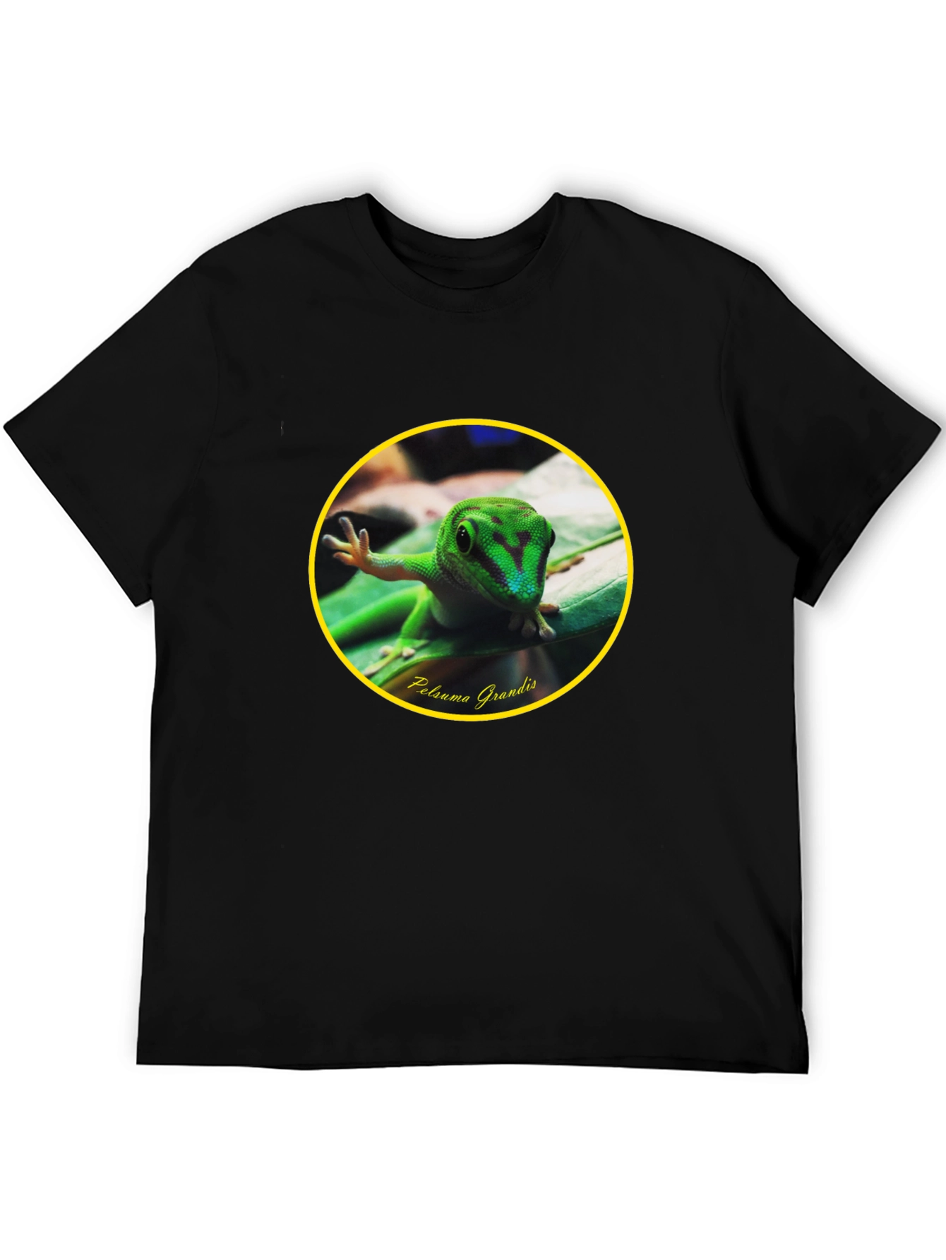 Gecko Phelsuma Grandis Graphic Tee