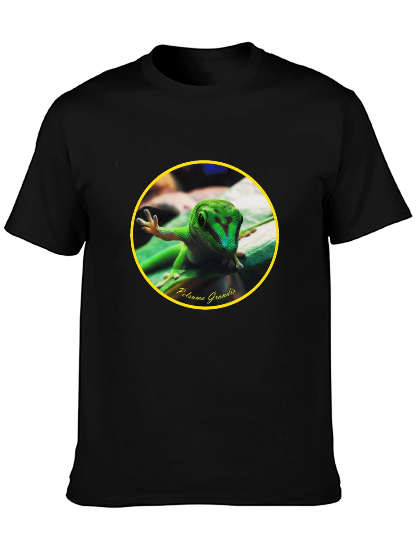 Gecko Phelsuma Grandis Graphic Tee