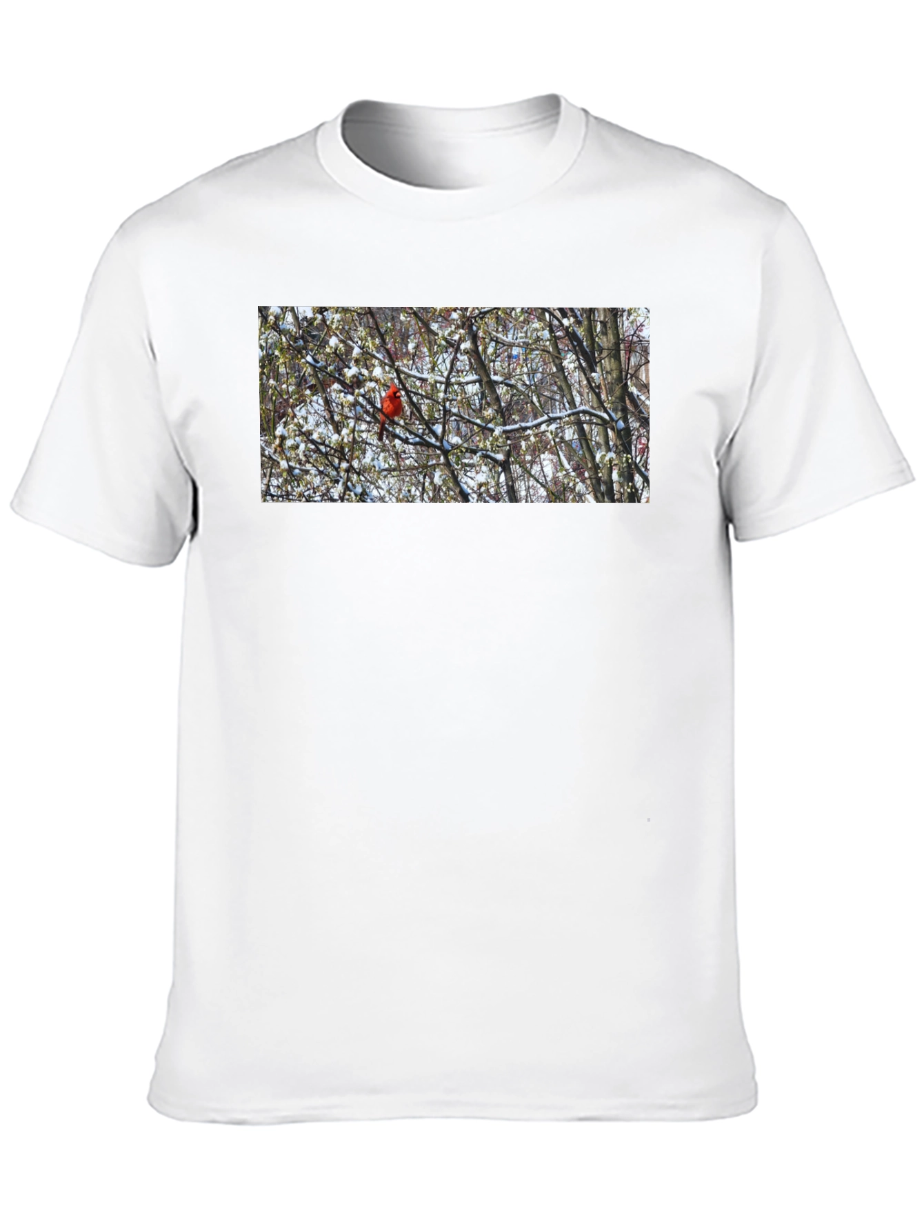 Cardinal Bird in Winter T-Shirt