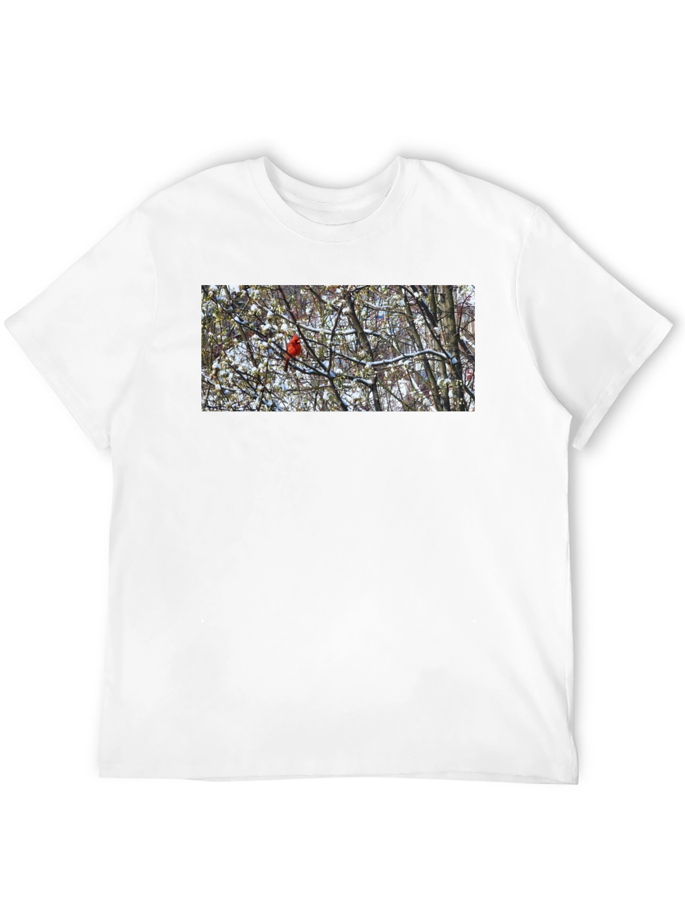 Cardinal Bird in Winter T-Shirt